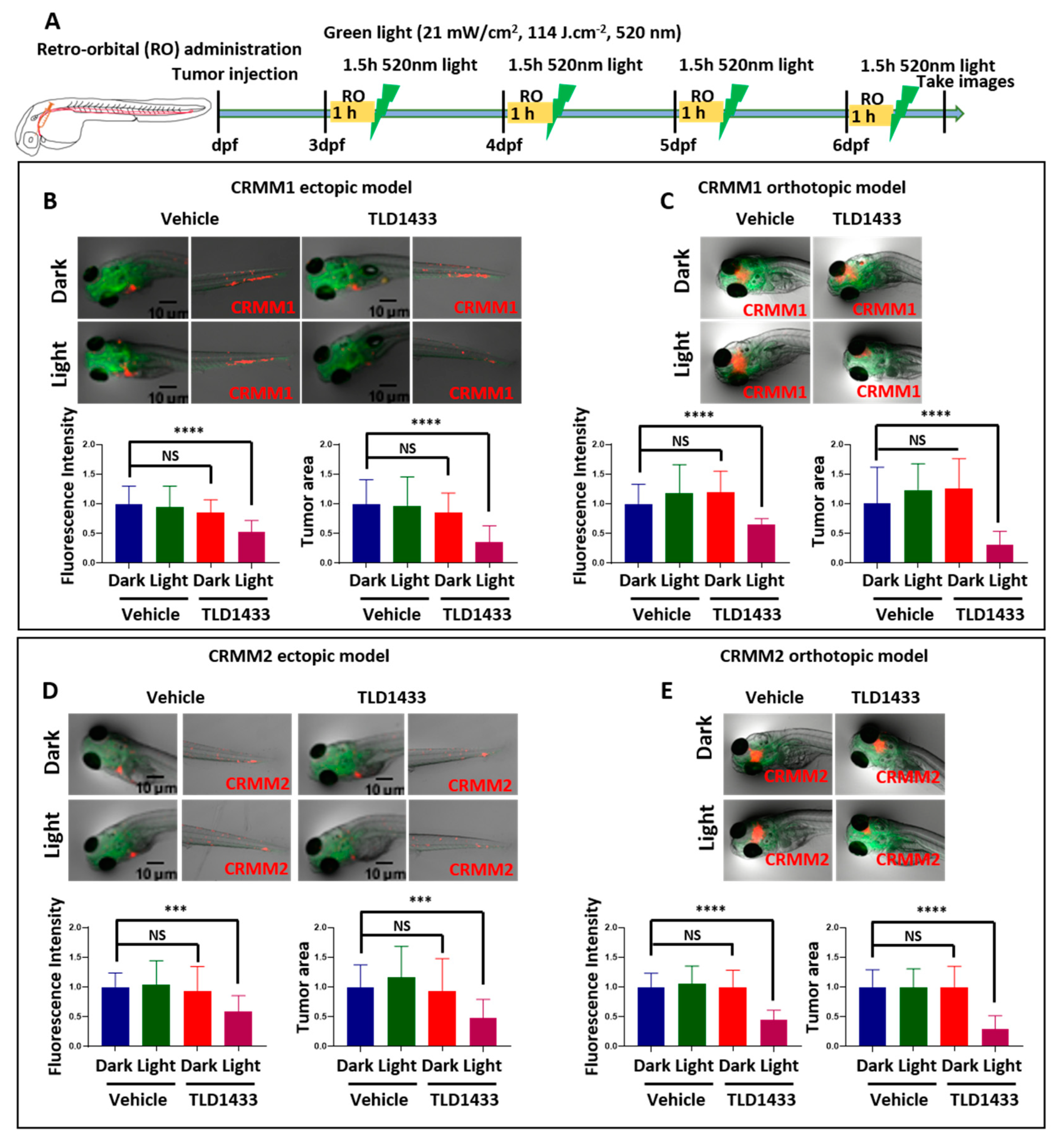 Cancers 12 00587 g009