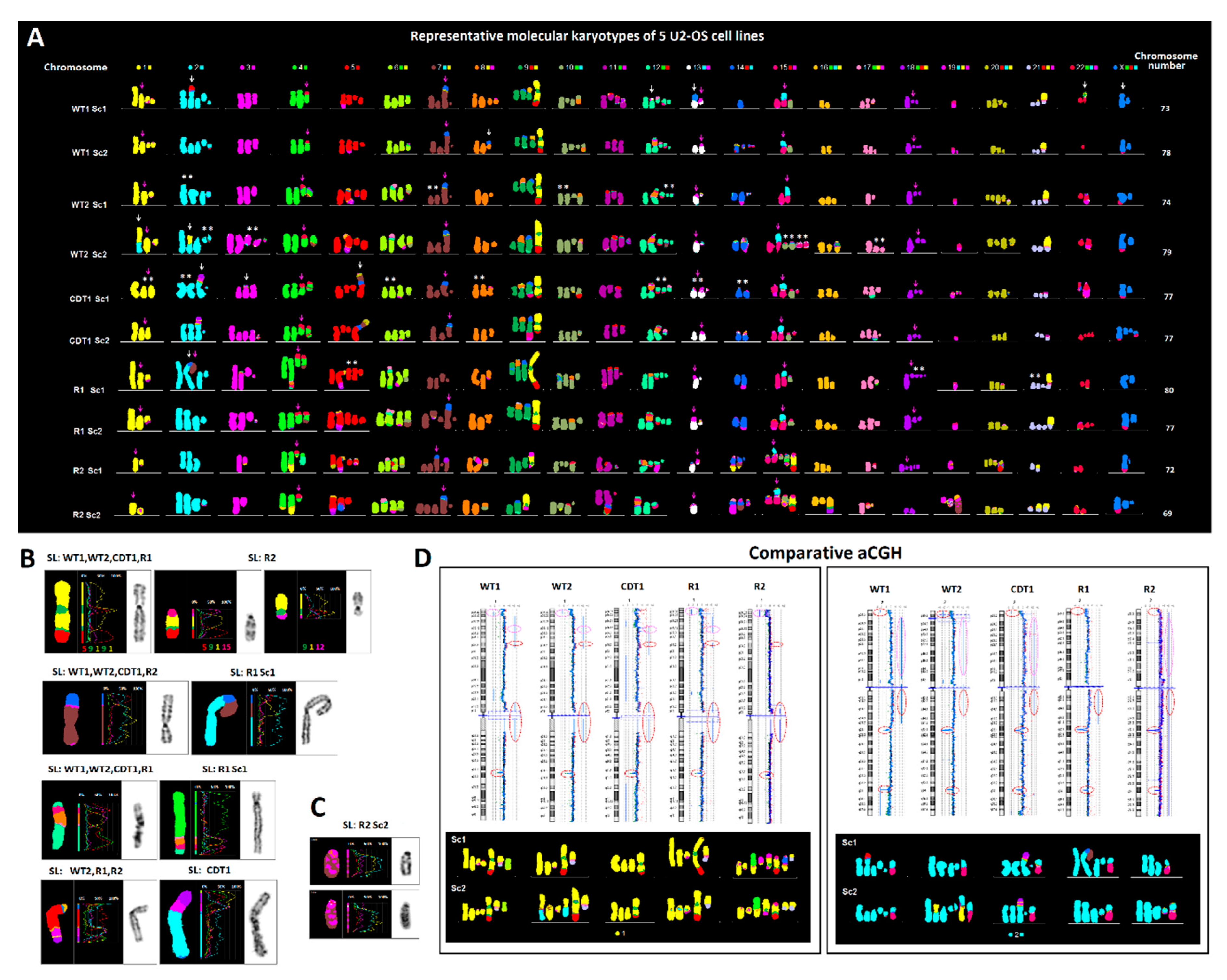 Cancers 12 00591 g001 Cancers 12 00591 g001