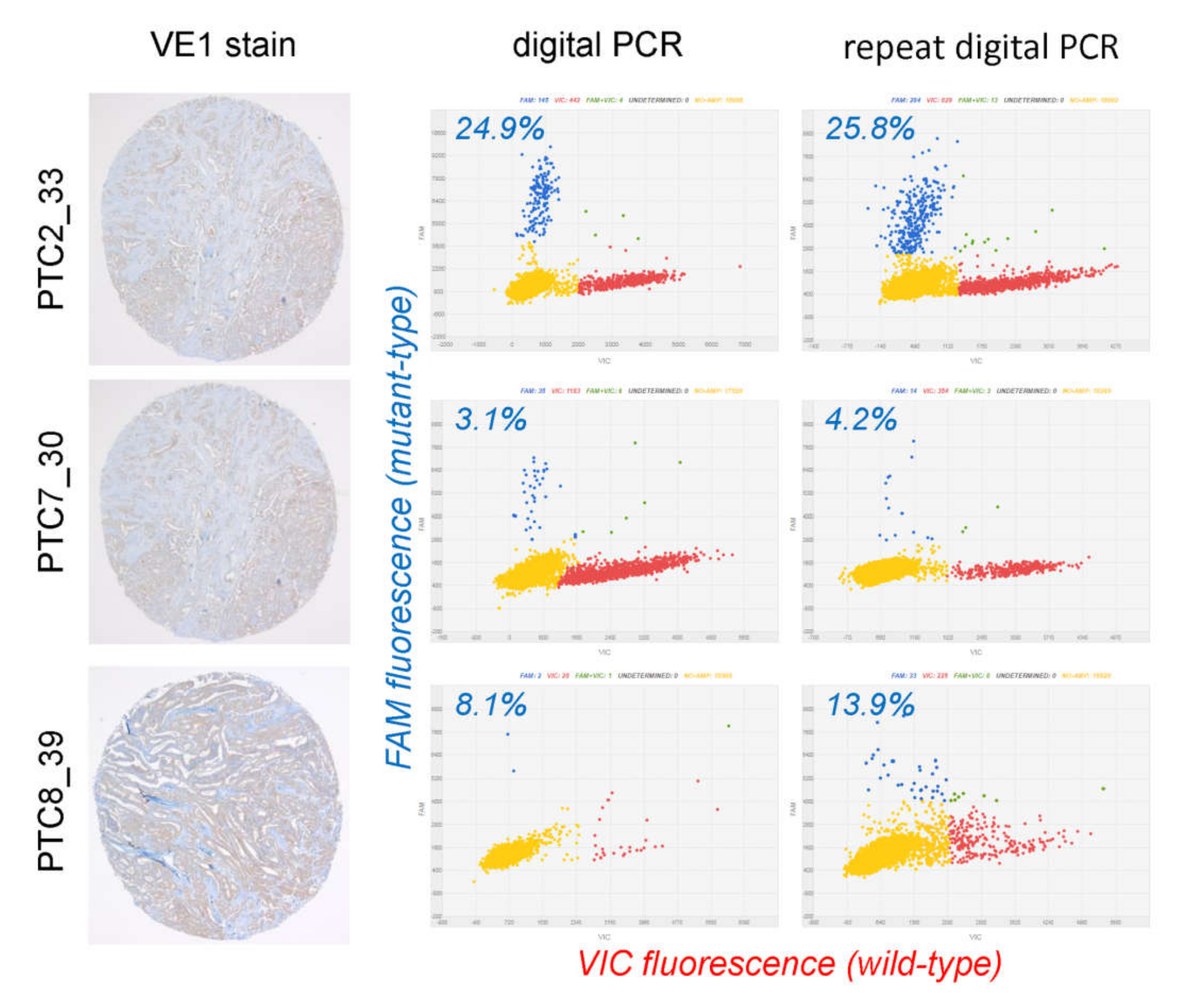 Cancers 12 00596 g005