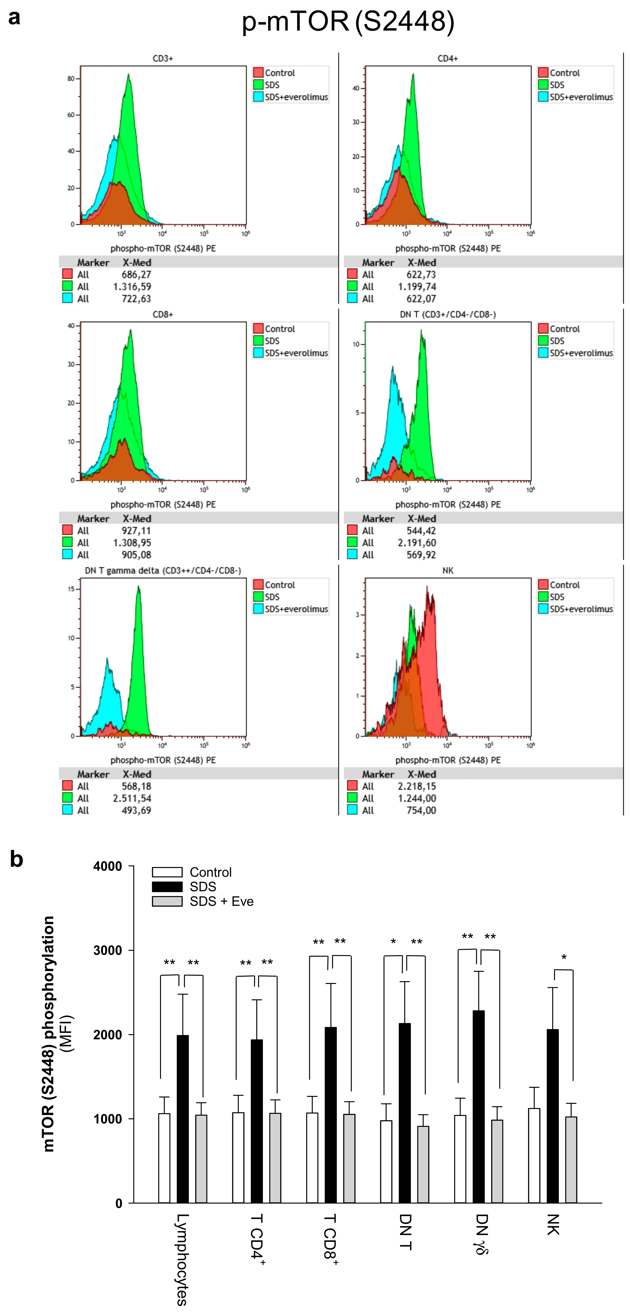 Cancers 12 00597 g001