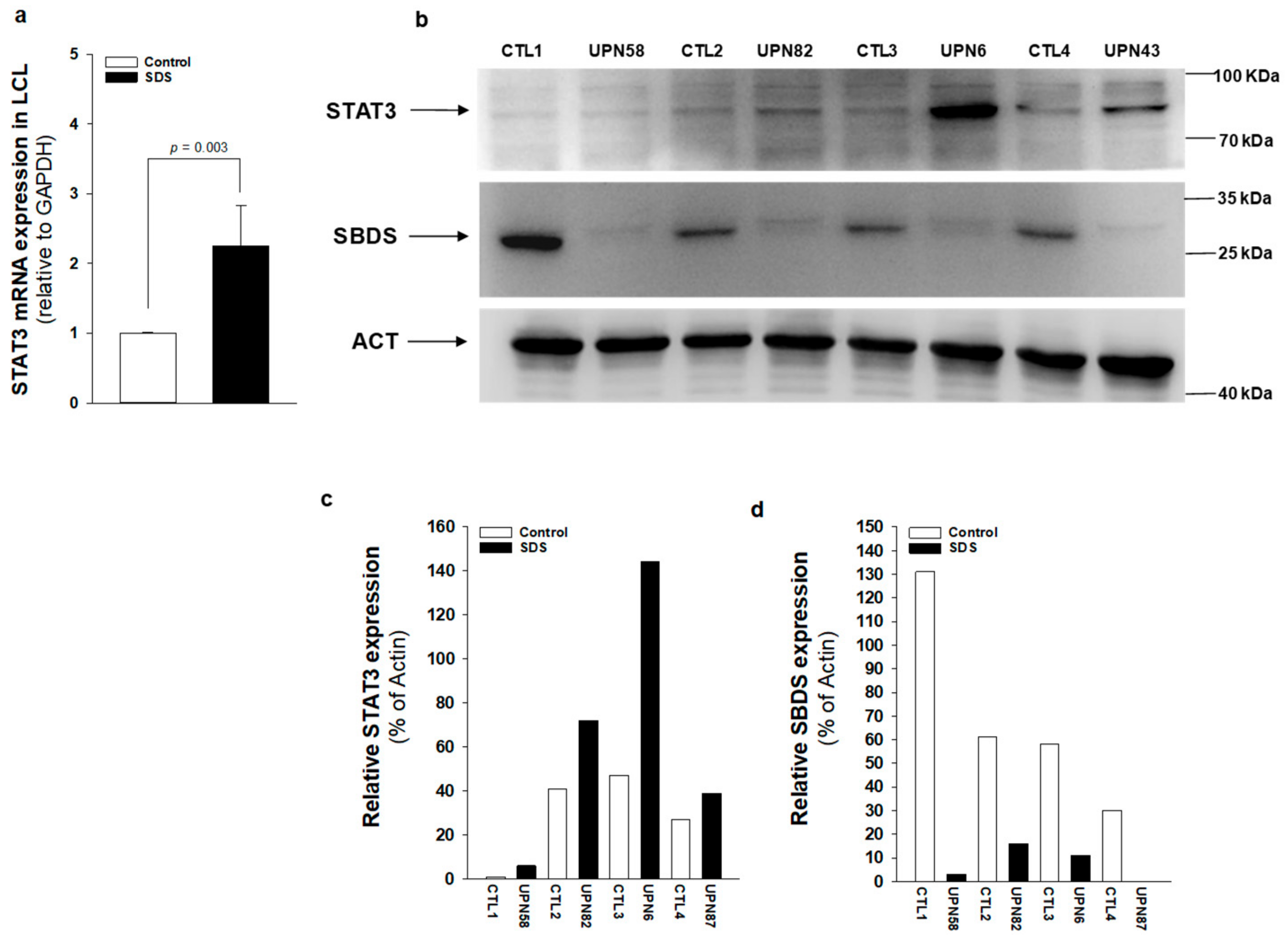 Cancers 12 00597 g003