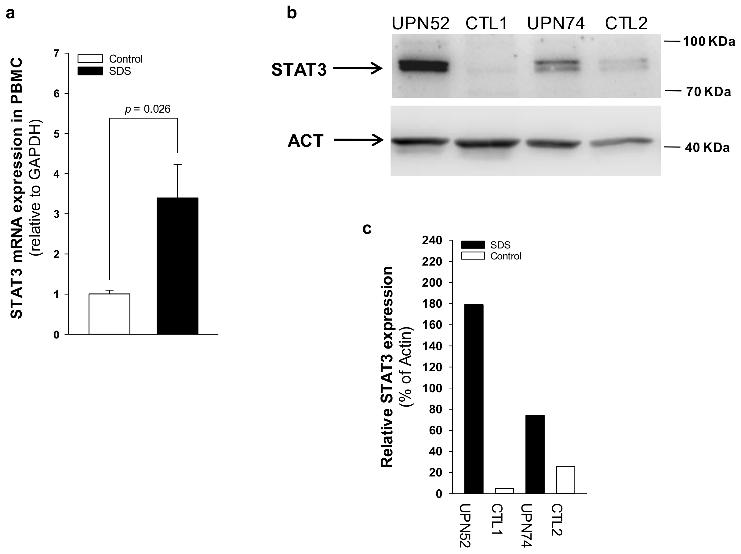Cancers 12 00597 g004