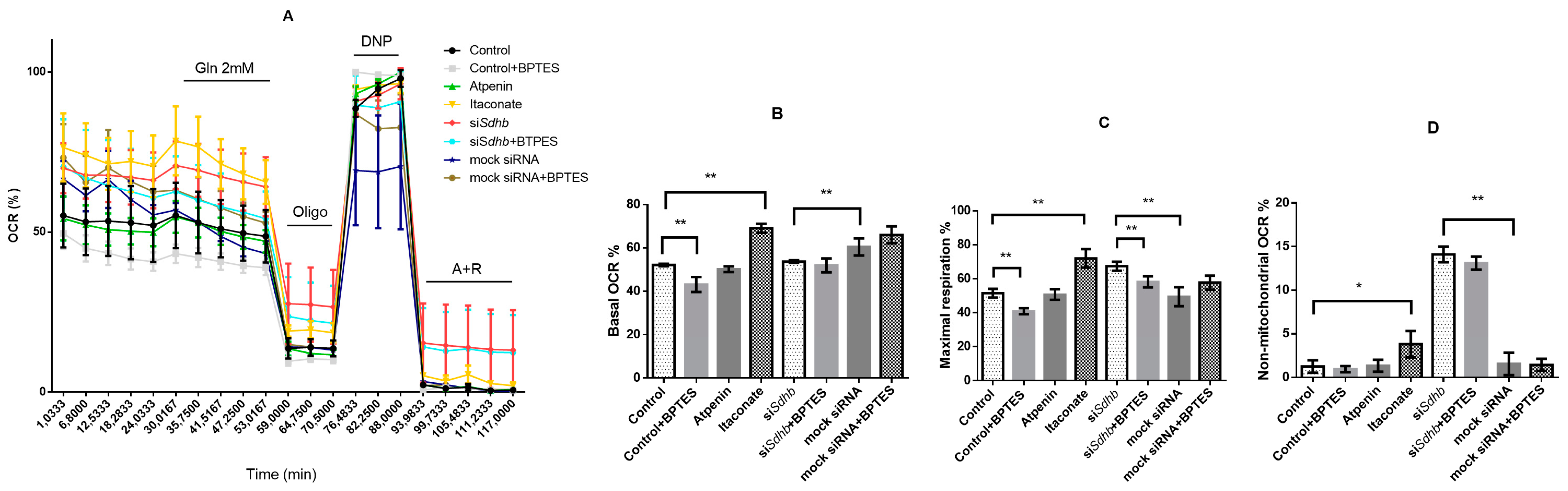 Cancers 12 00599 g009 Cancers 12 00599 g009