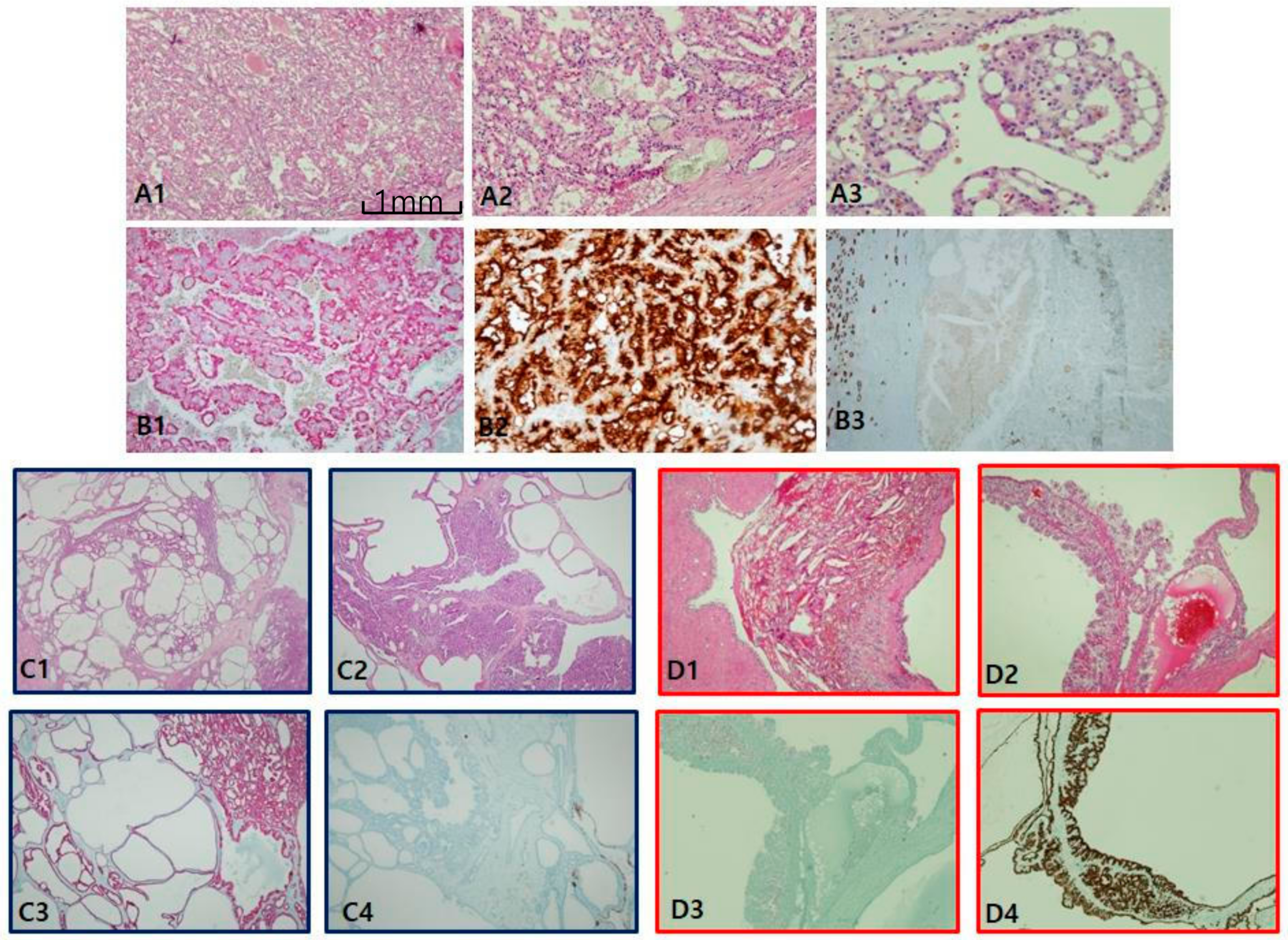 Cancers 12 00602 g004 Cancers 12 00602 g004