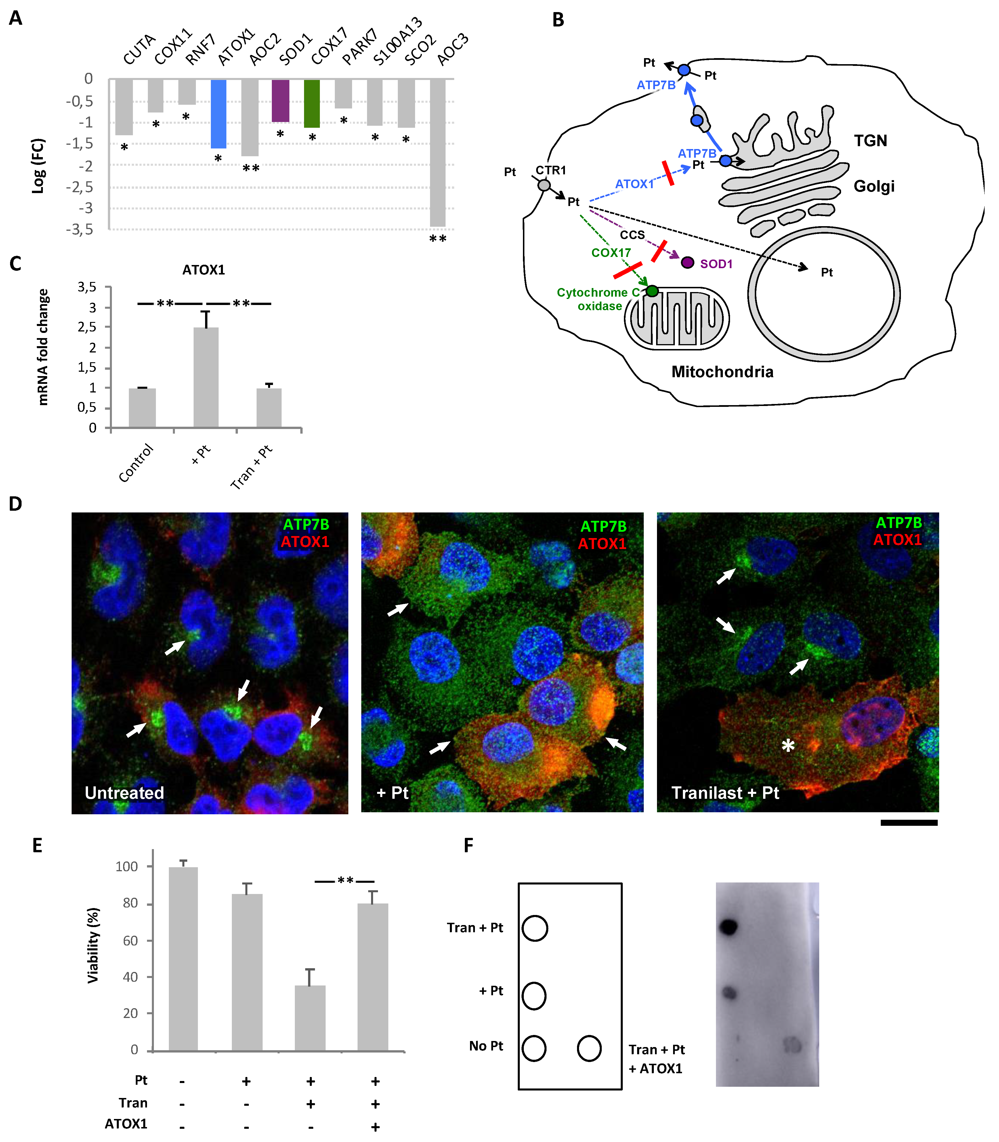 Cancers 12 00608 g006