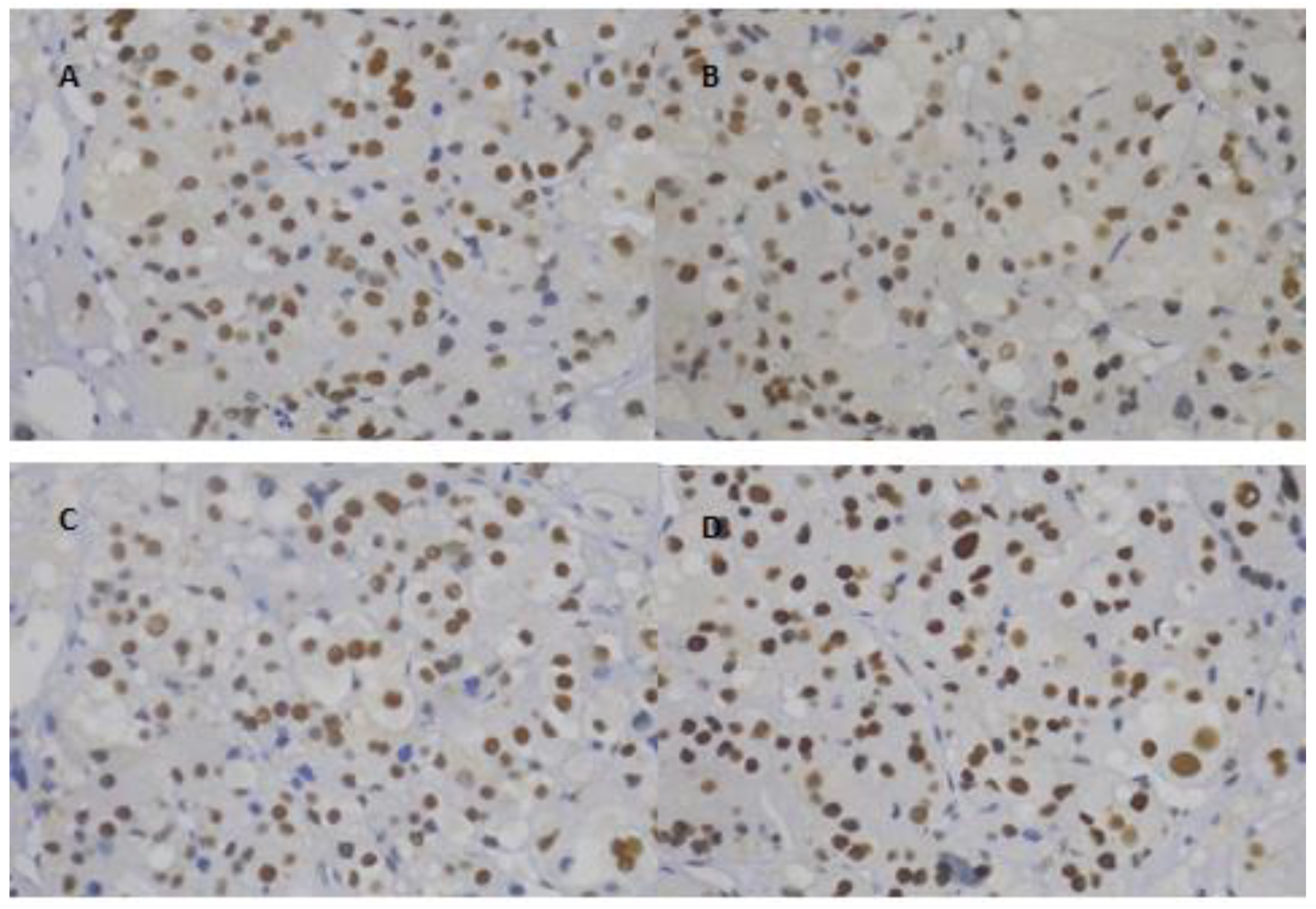 Cancers 12 00621 g001