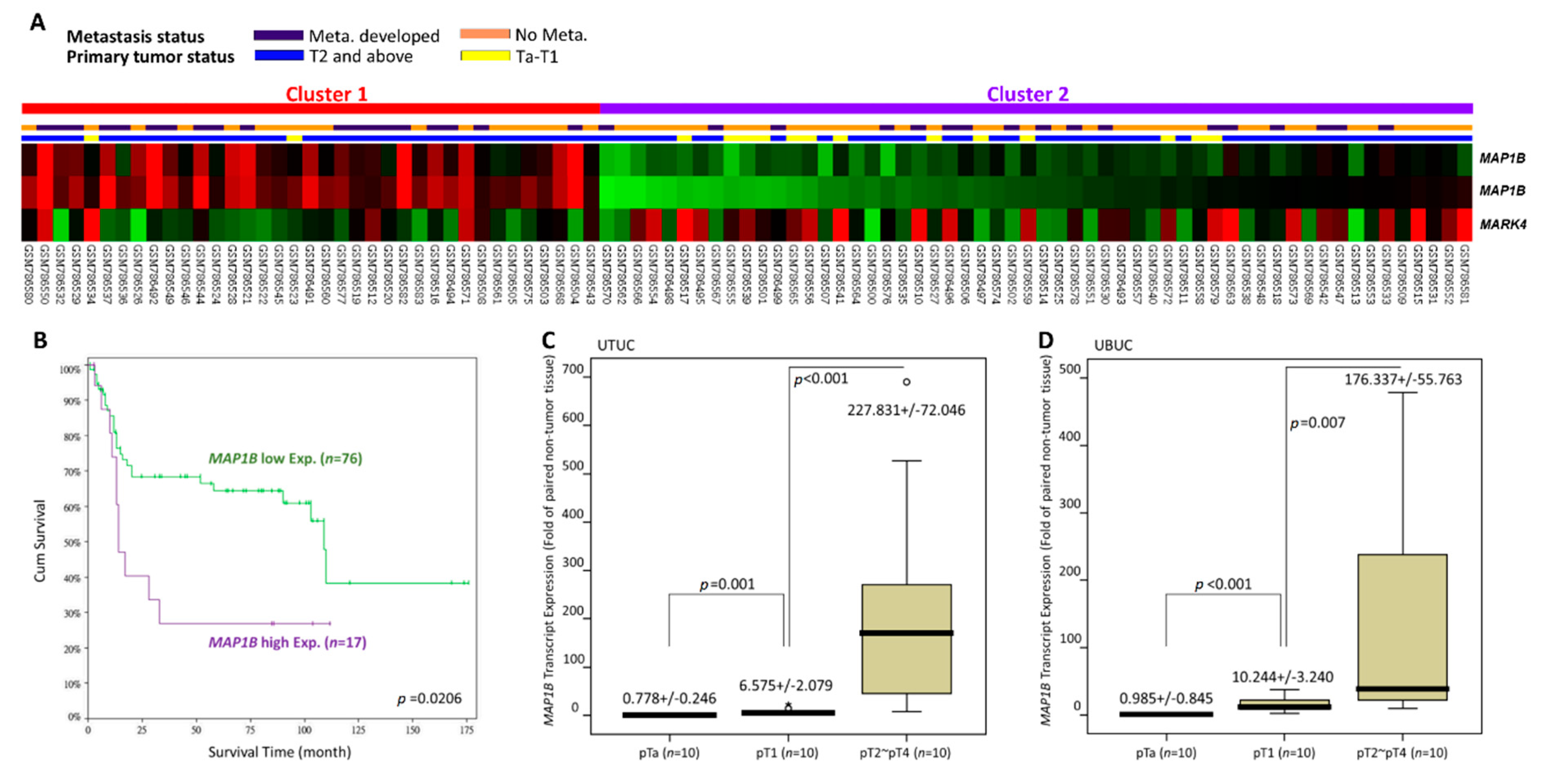 Cancers 12 00630 g001