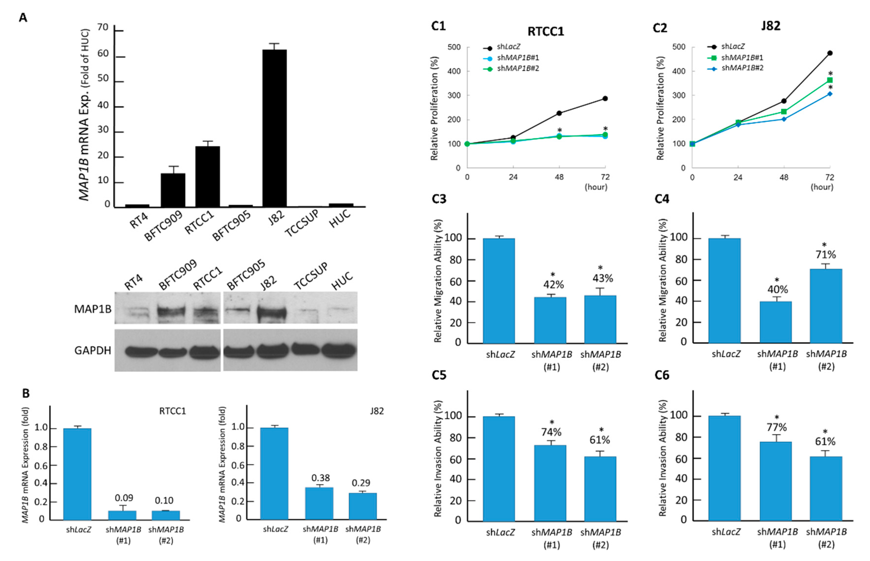 Cancers 12 00630 g004