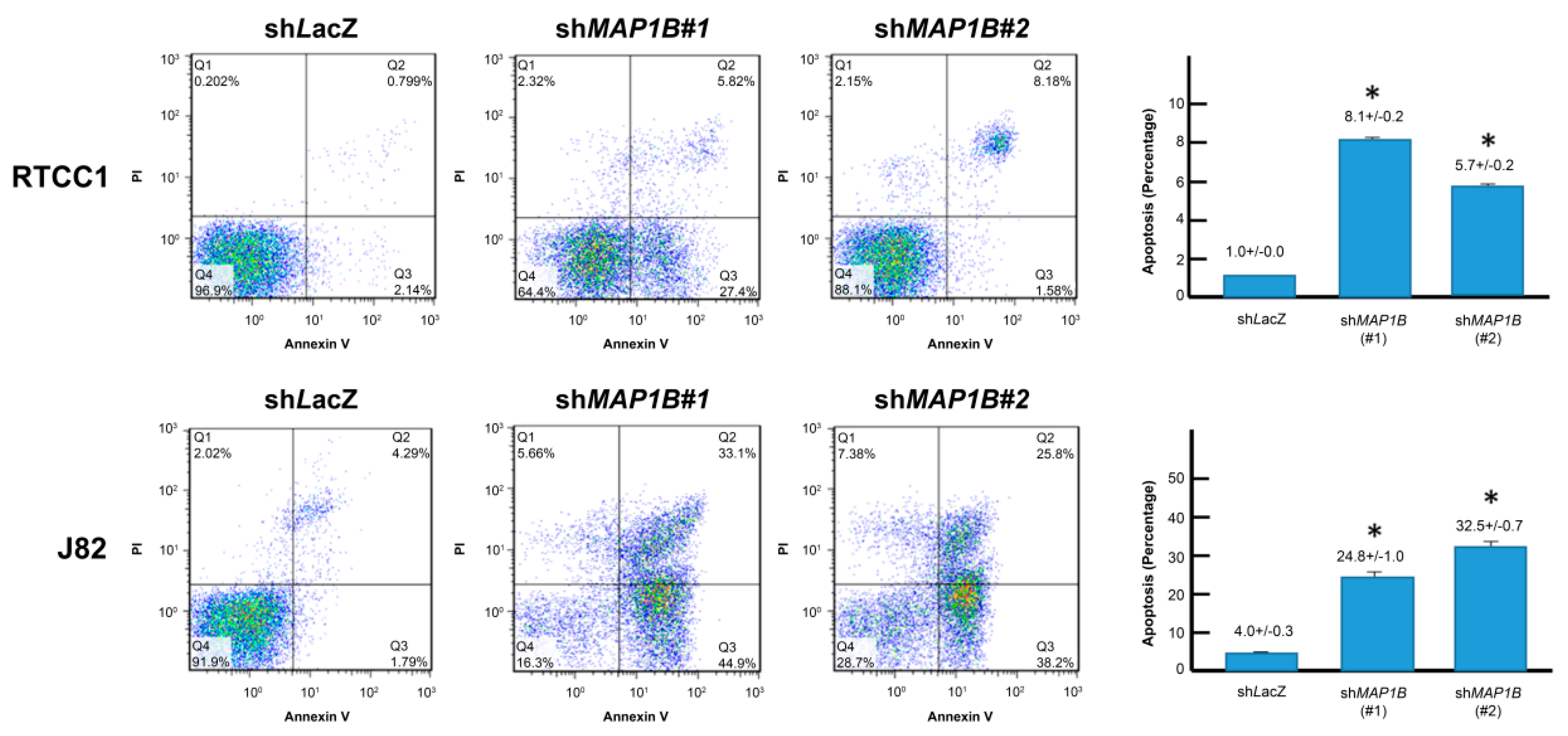 Cancers 12 00630 g006