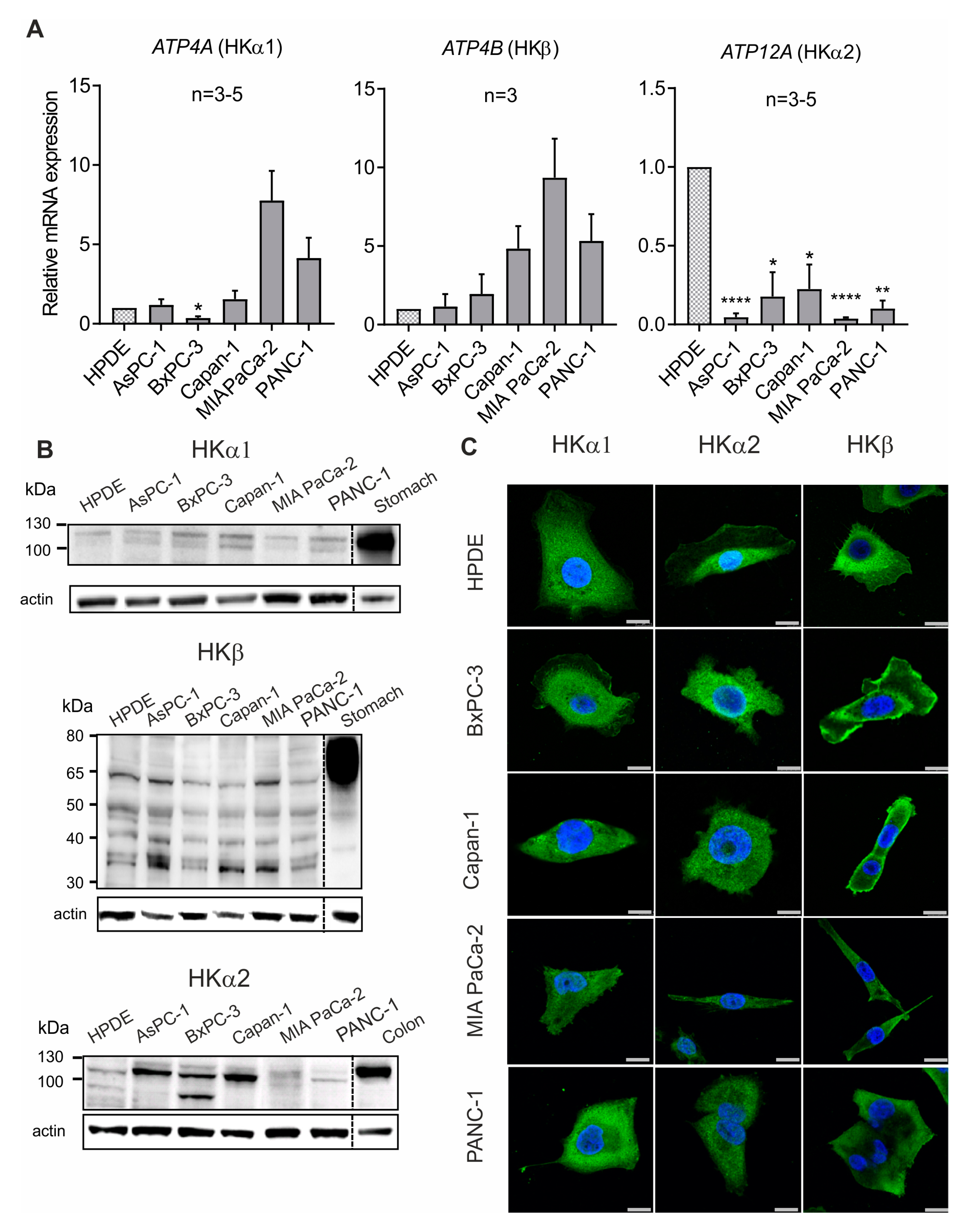 Cancers 12 00640 g003