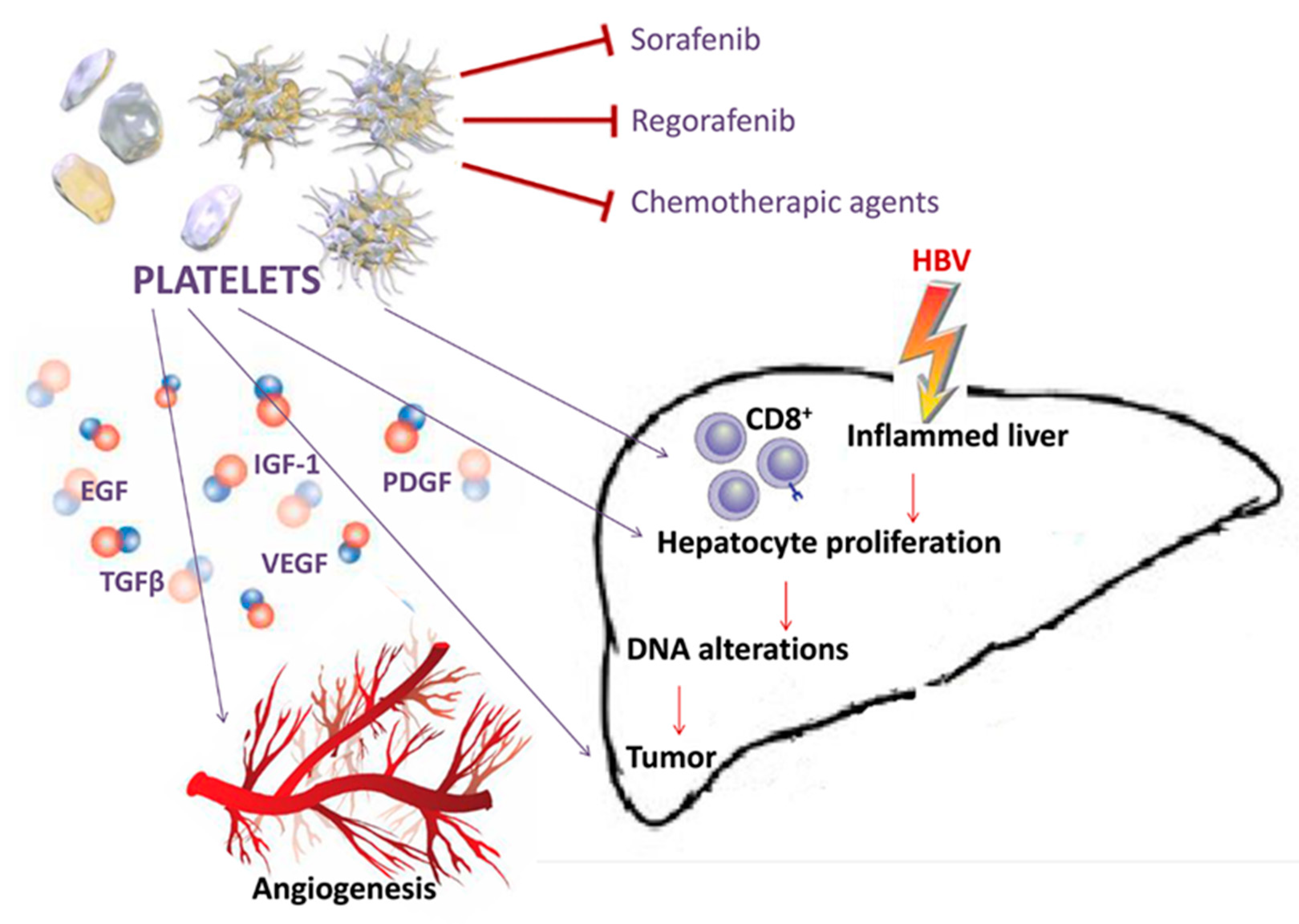 Cancers 12 00641 g002 Cancers 12 00641 g002