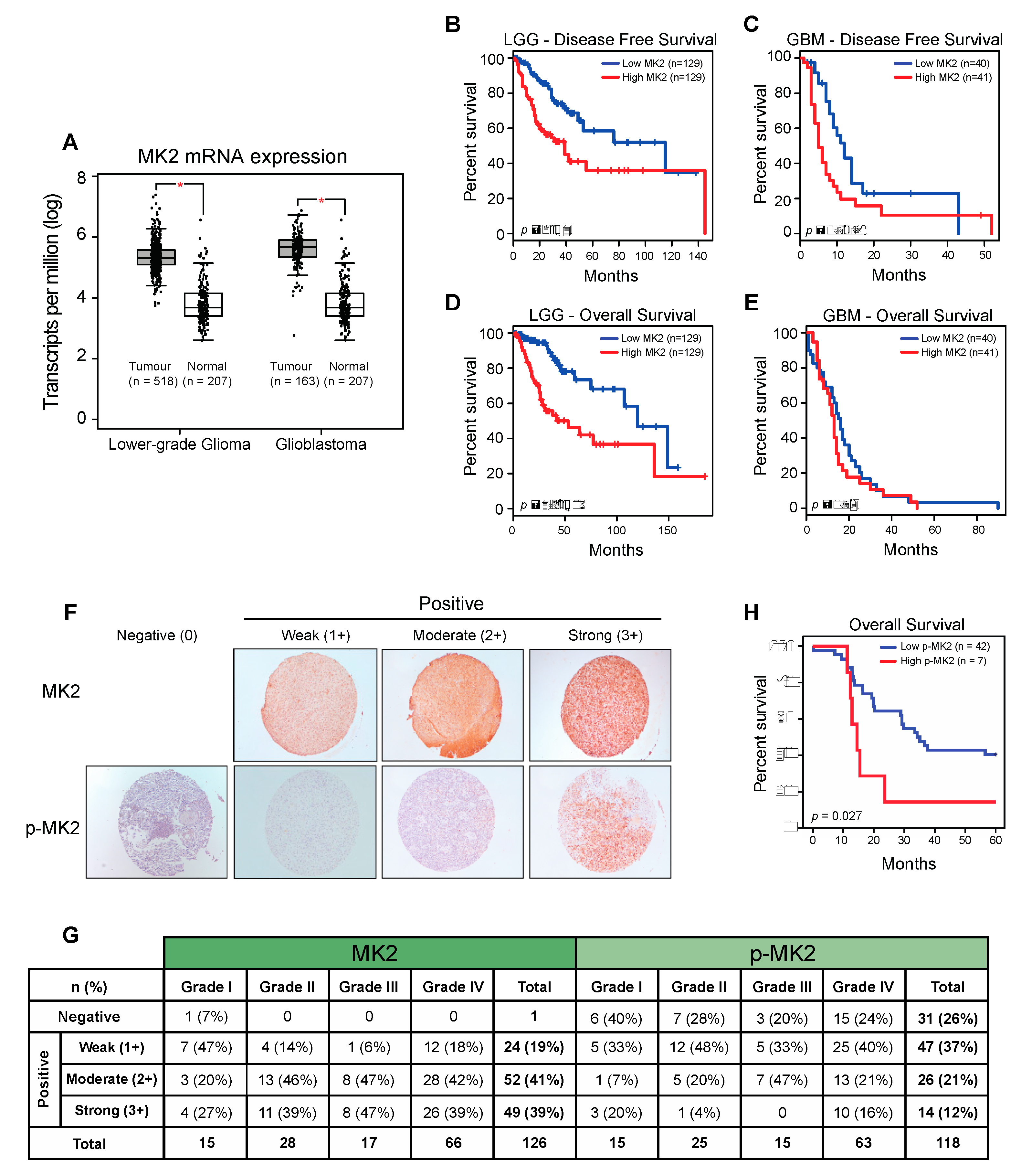 Cancers 12 00654 g001 Cancers 12 00654 g001