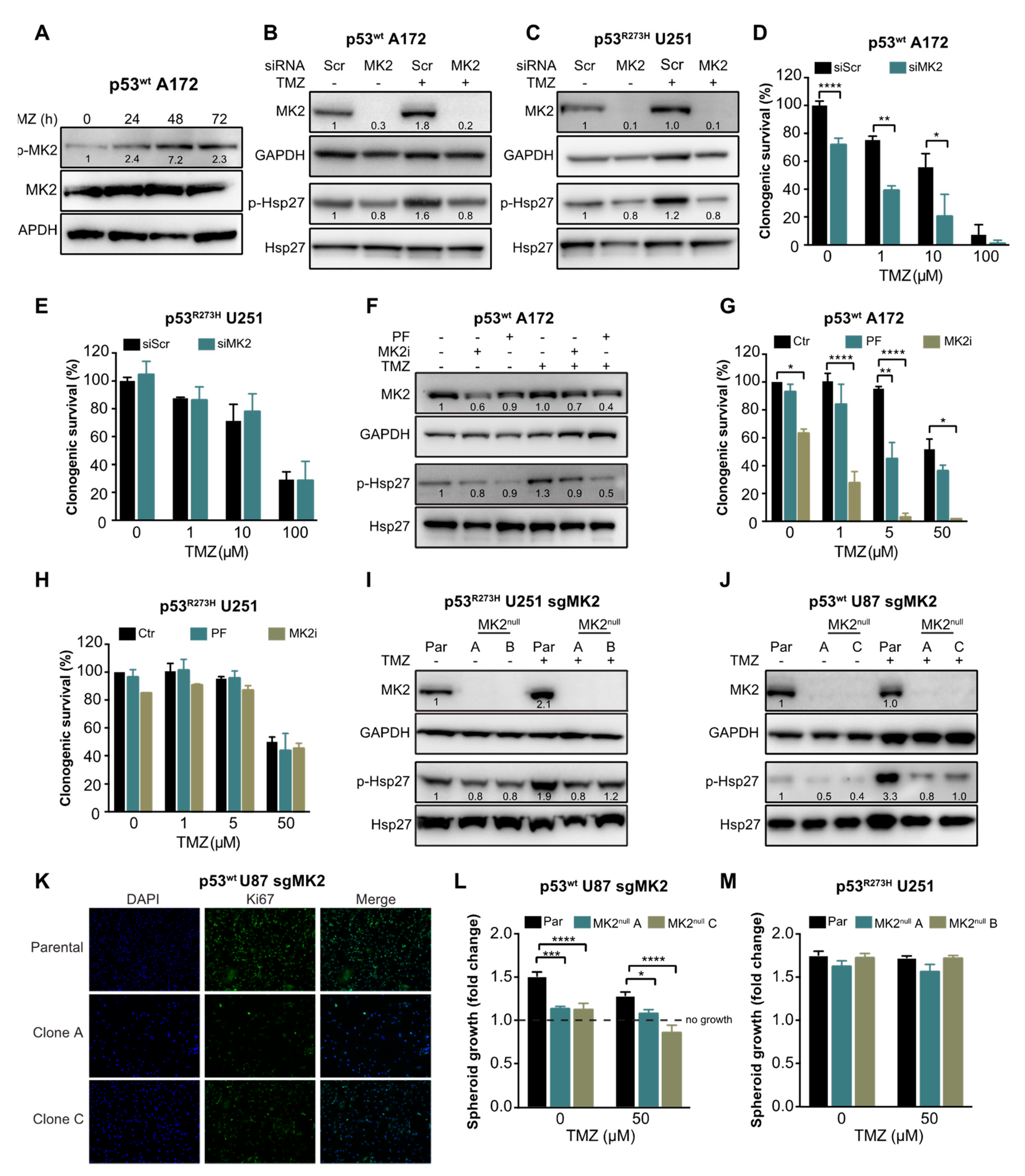 Cancers 12 00654 g002 Cancers 12 00654 g002