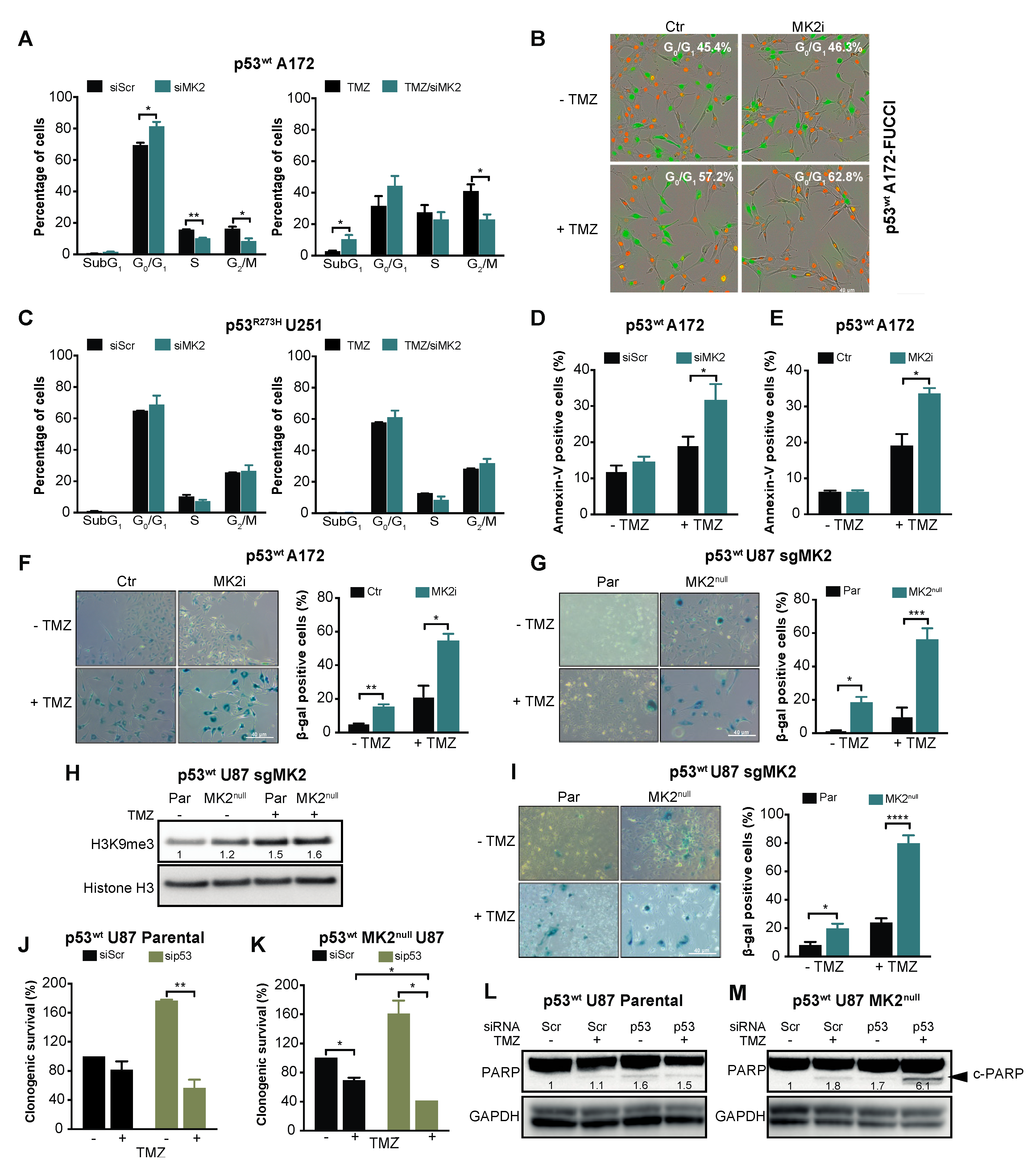 Cancers 12 00654 g003 Cancers 12 00654 g003