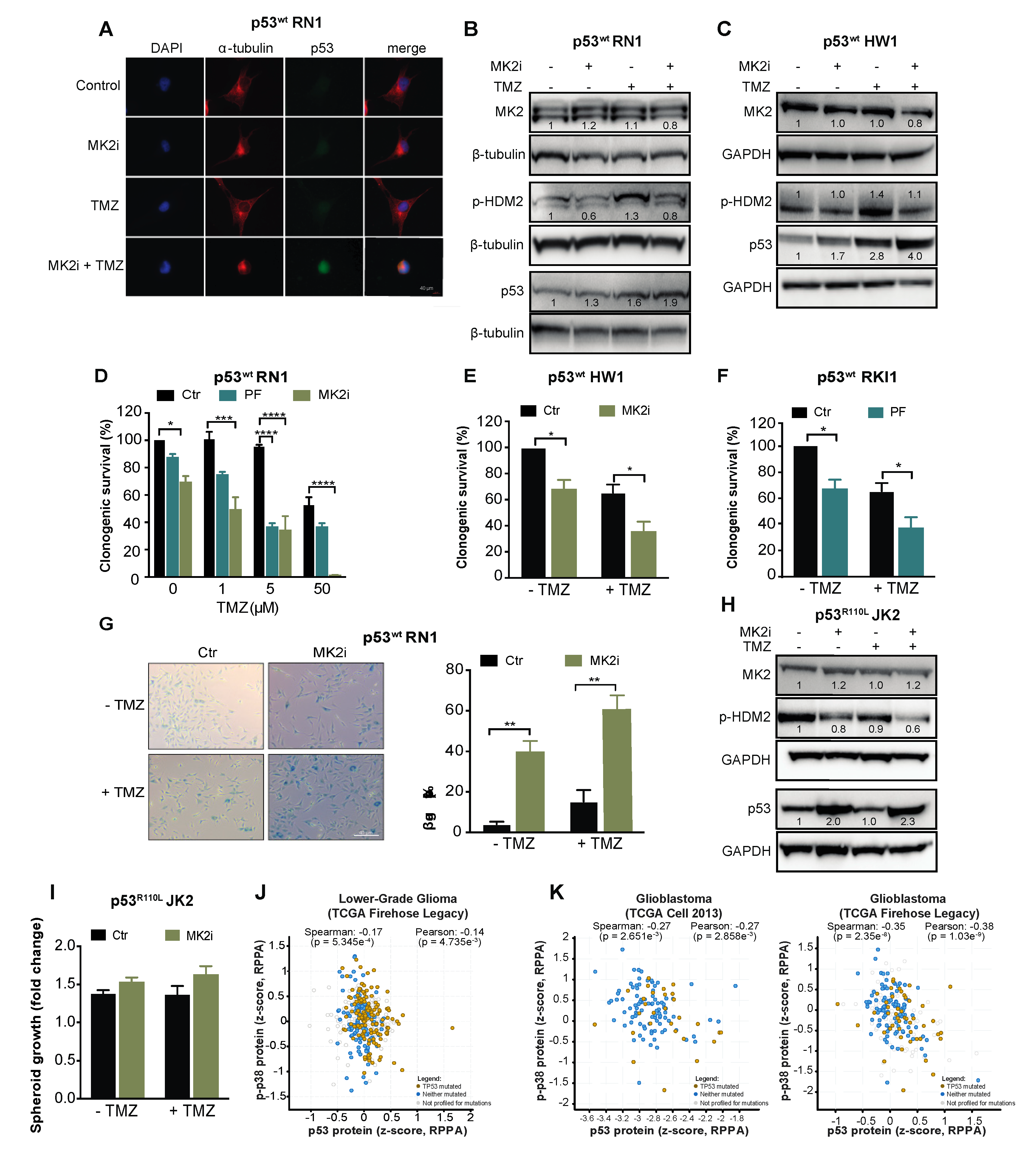 Cancers 12 00654 g006 Cancers 12 00654 g006
