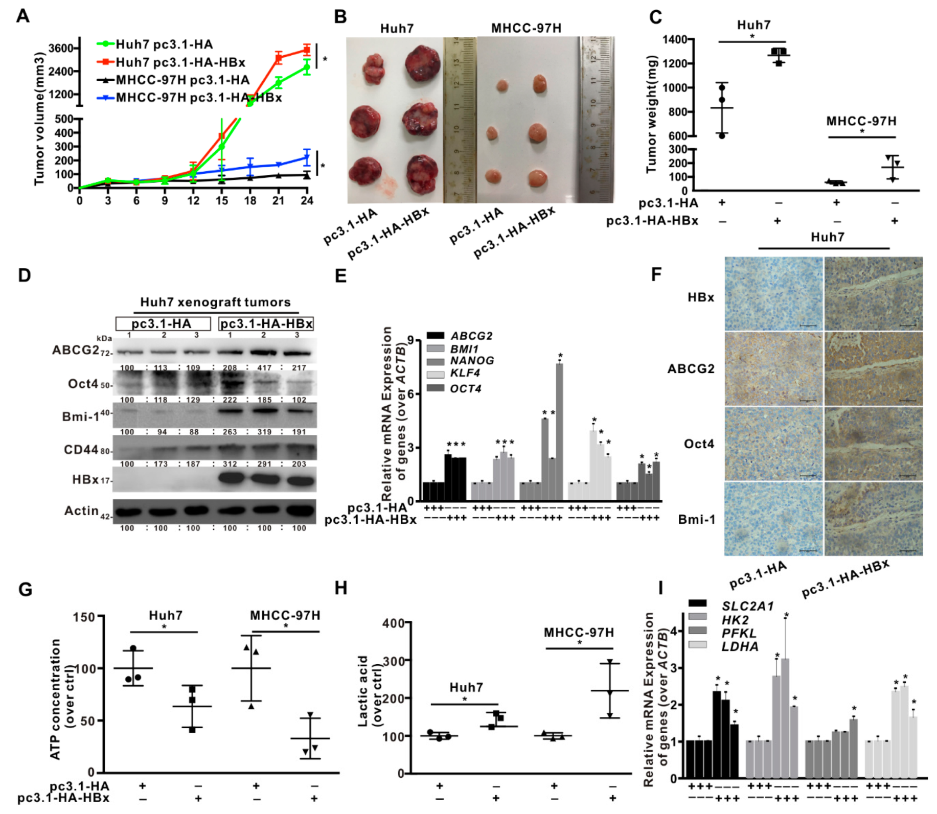 Cancers 12 00655 g001 Cancers 12 00655 g001