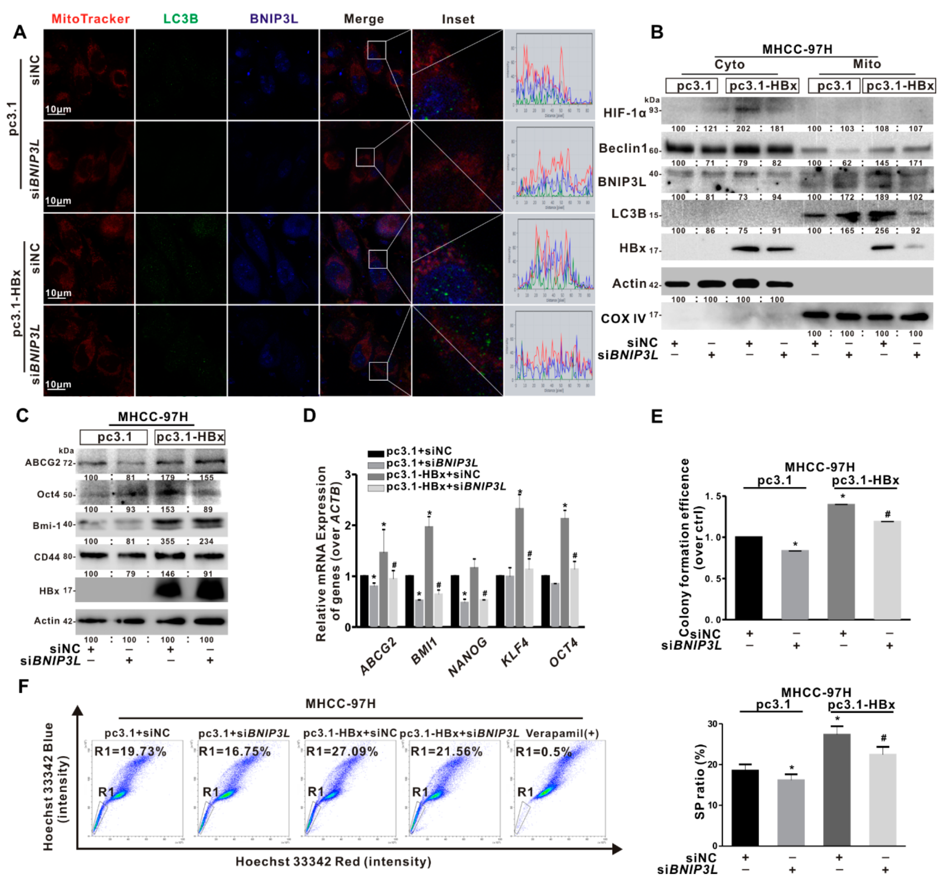 Cancers 12 00655 g006 Cancers 12 00655 g006