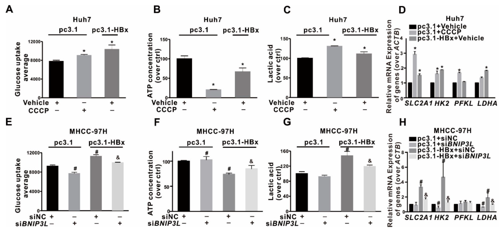 Cancers 12 00655 g007 Cancers 12 00655 g007