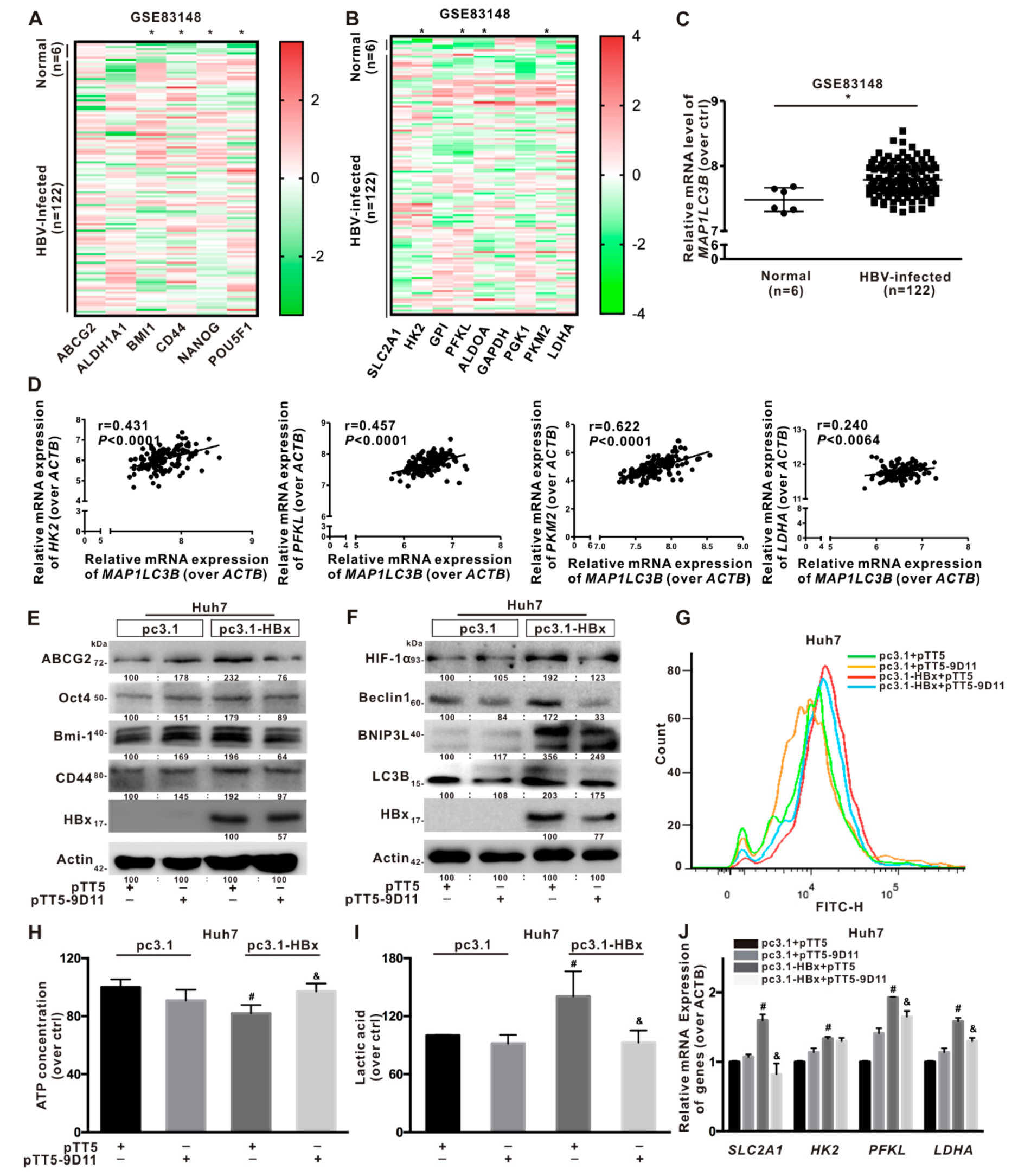 Cancers 12 00655 g008 Cancers 12 00655 g008