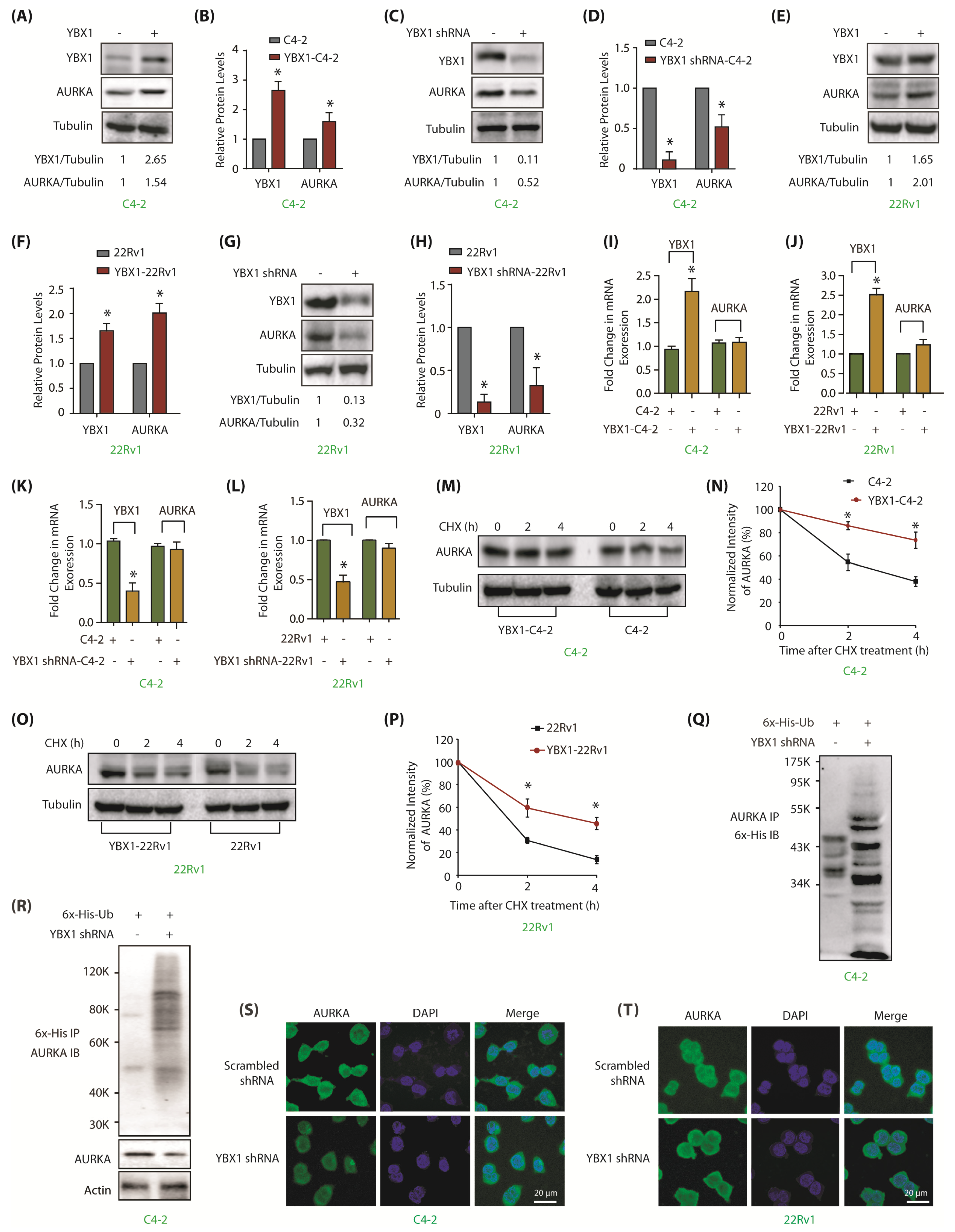 Cancers 12 00660 g003