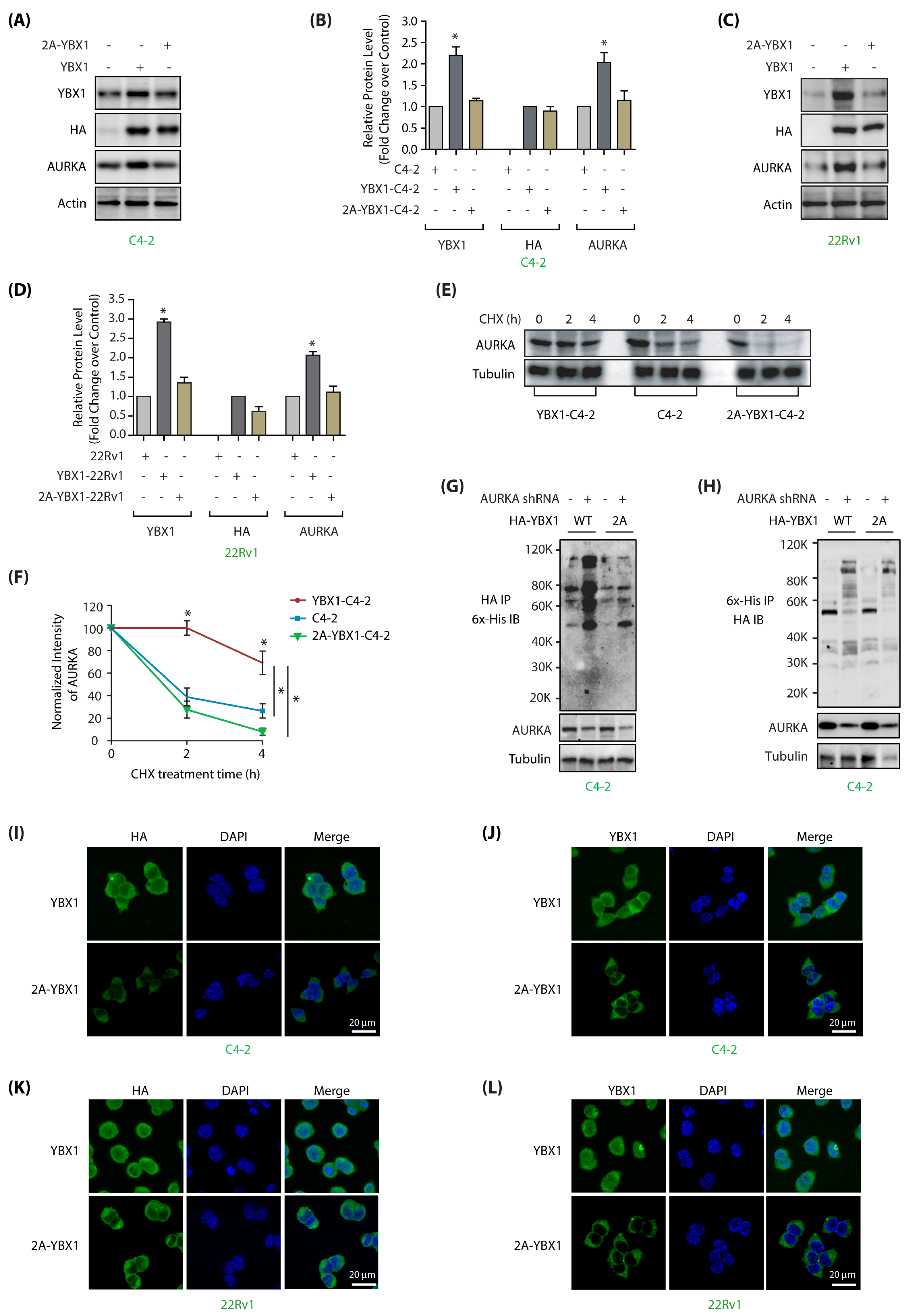 Cancers 12 00660 g004