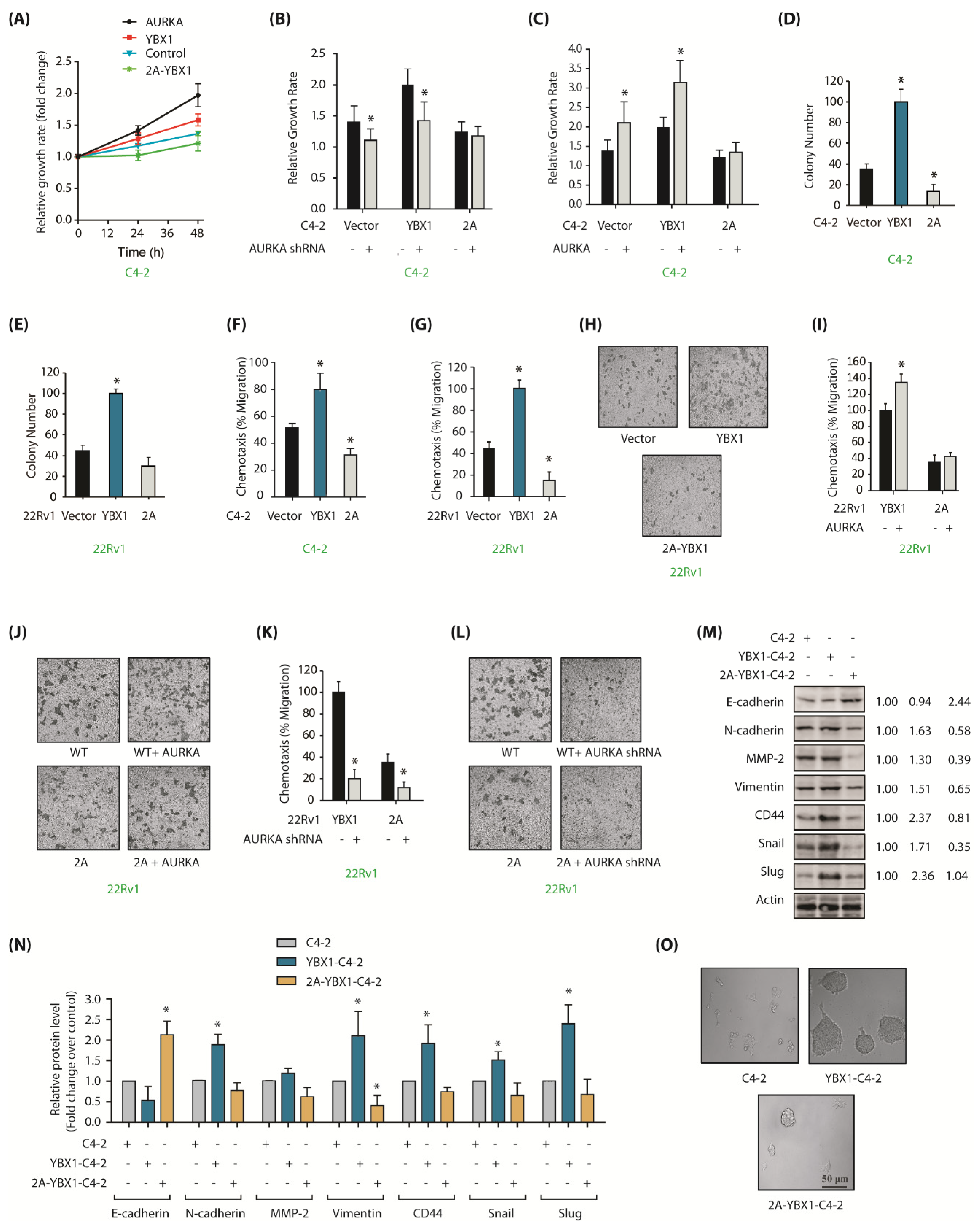 Cancers 12 00660 g005