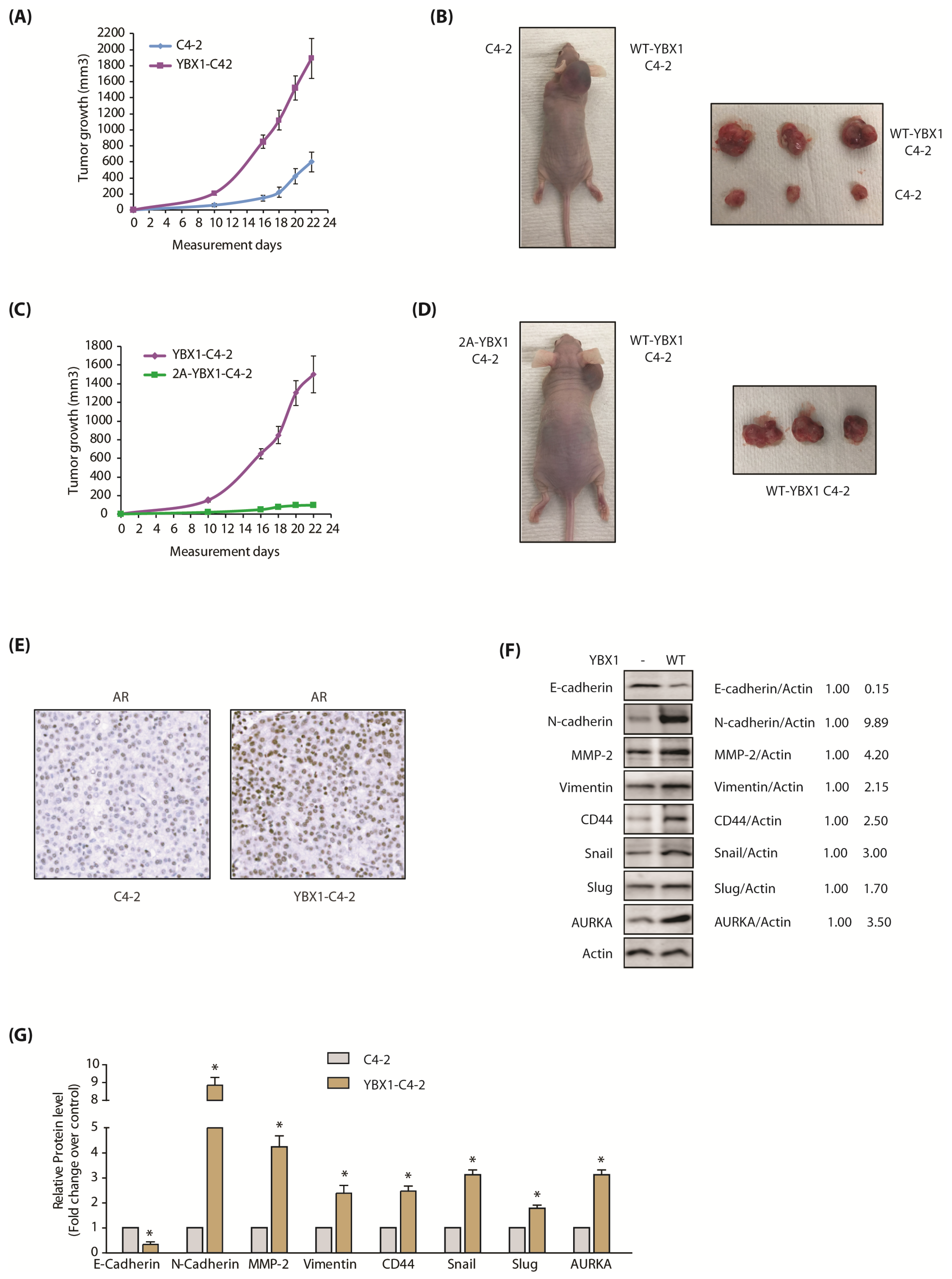 Cancers 12 00660 g007
