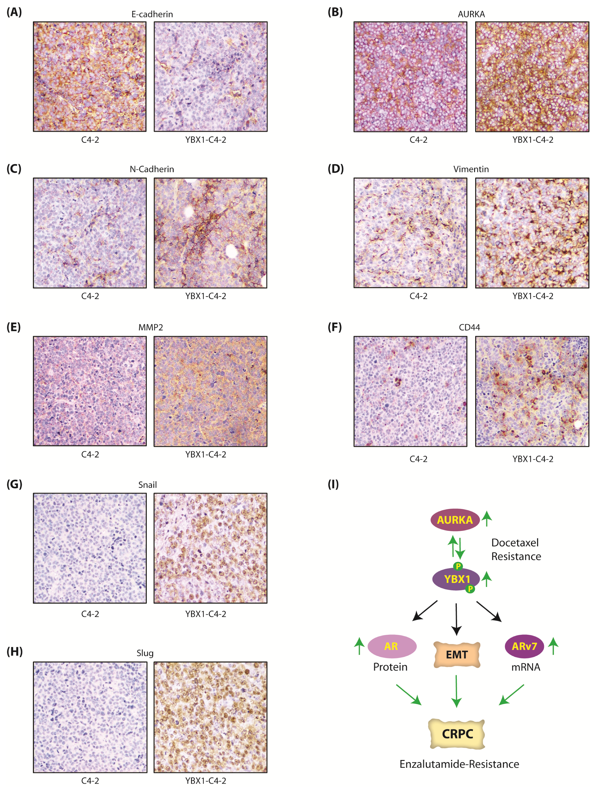 Cancers 12 00660 g008