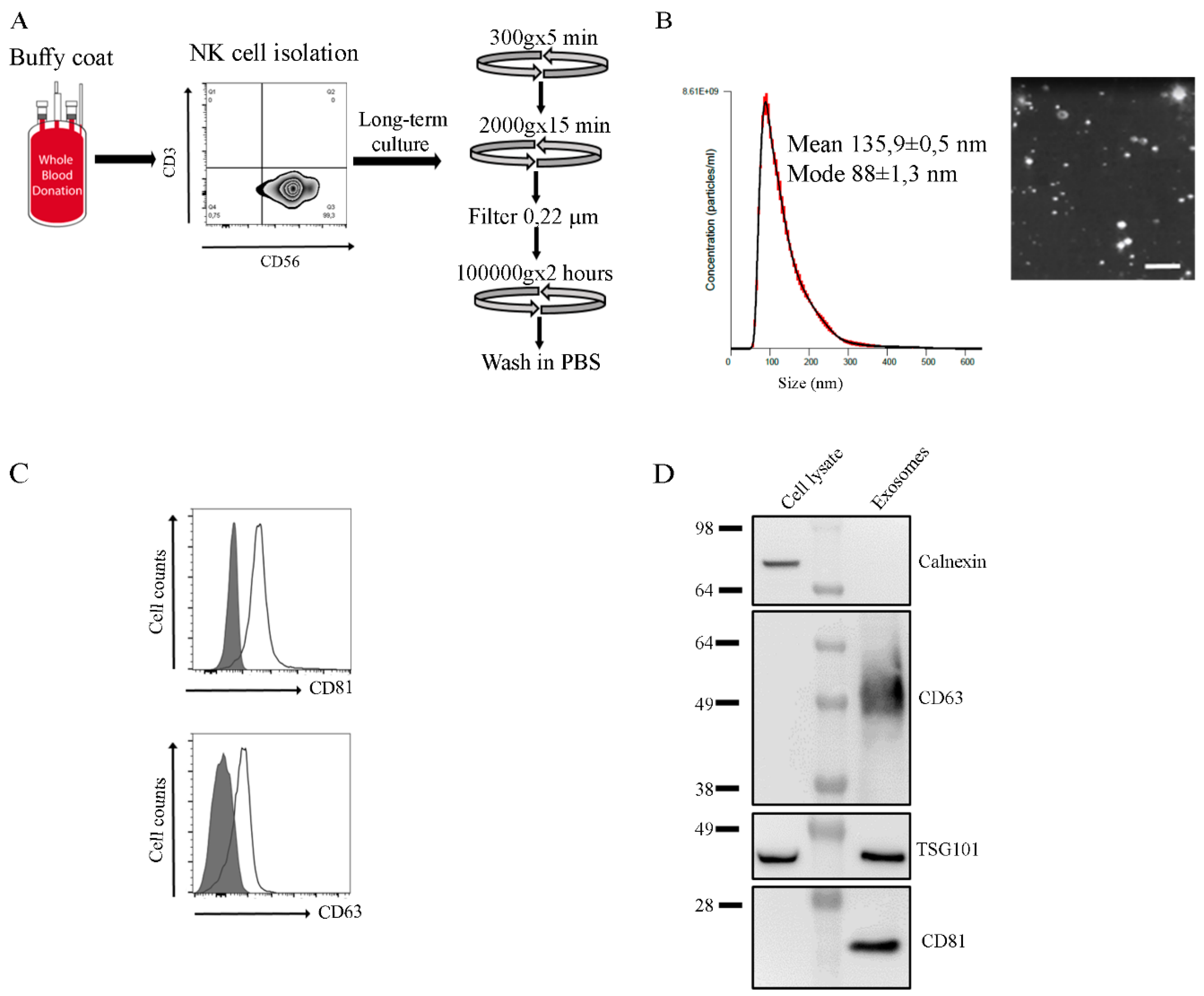 Cancers 12 00661 g001 Cancers 12 00661 g001