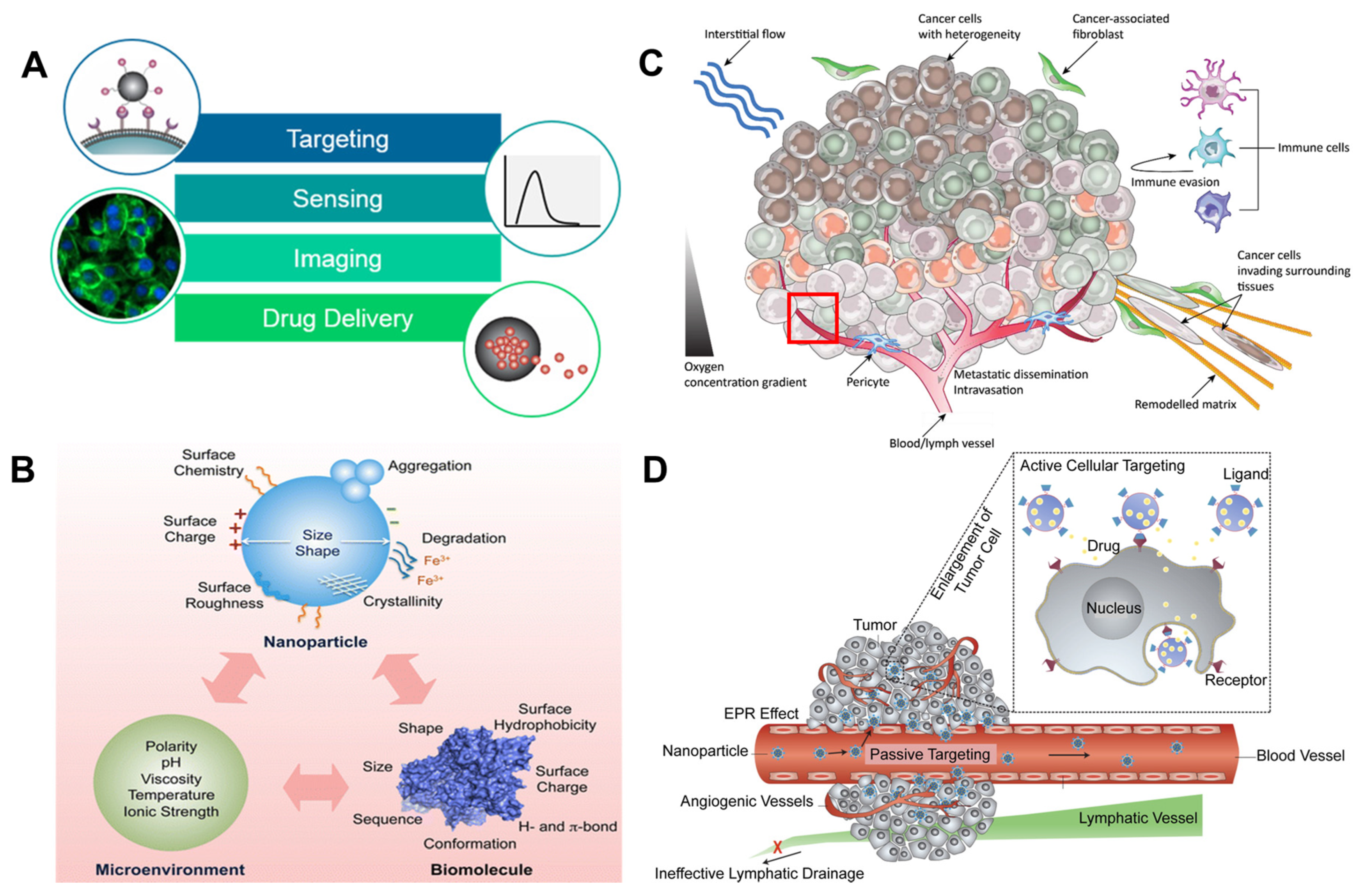 silver nanoparticle review