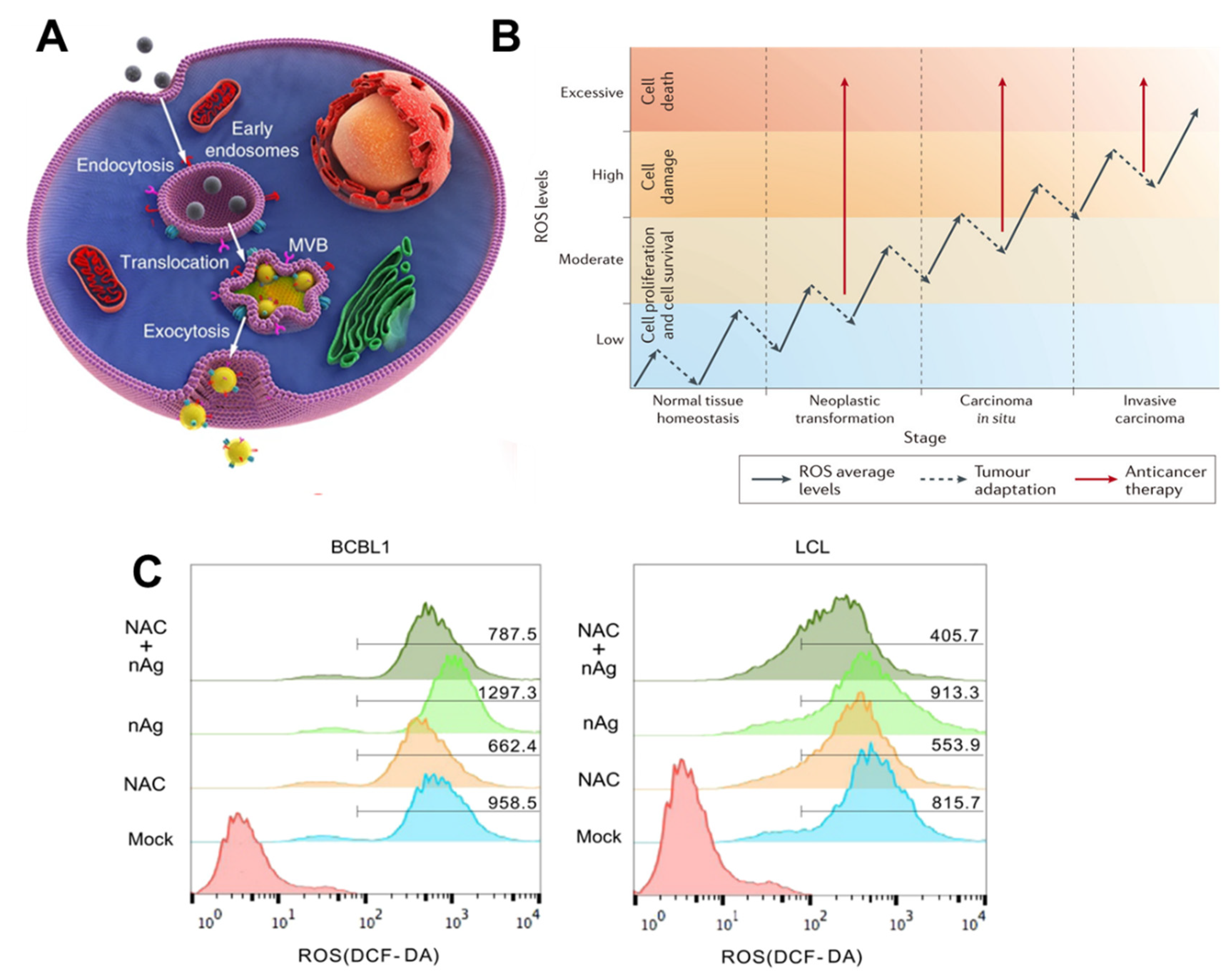 Cancers 12 00664 g002 Cancers 12 00664 g002