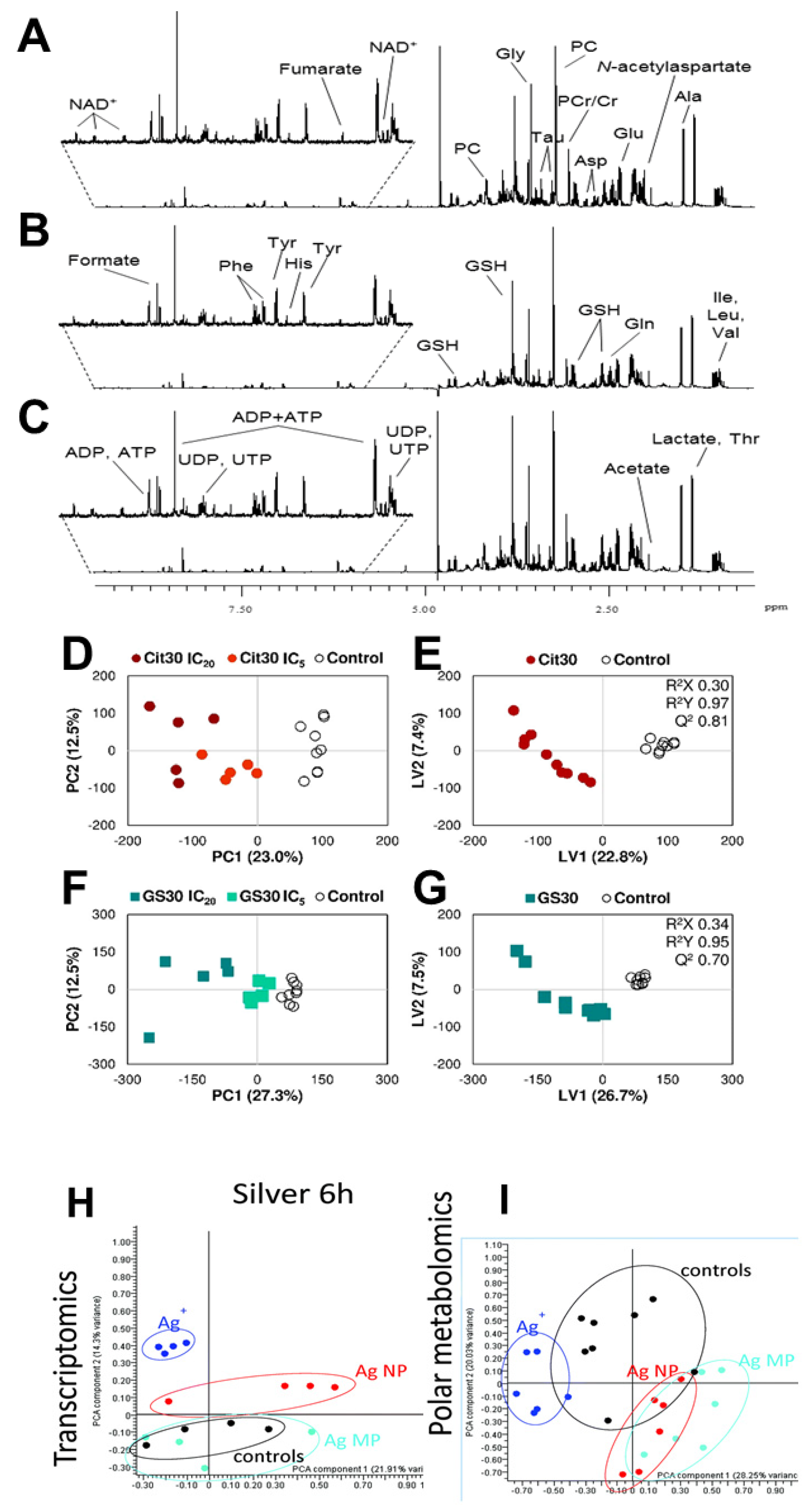 Cancers 12 00664 g007 Cancers 12 00664 g007