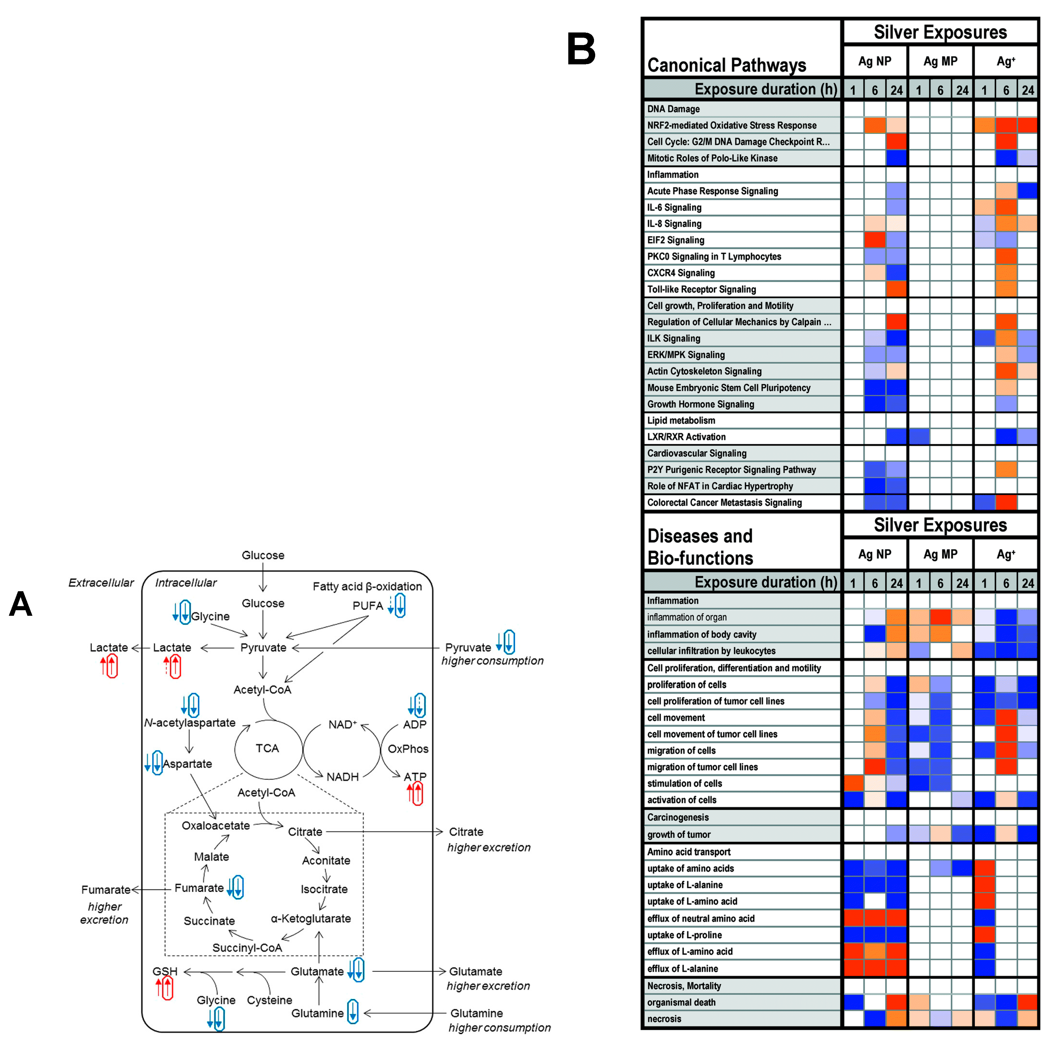 Cancers 12 00664 g008 Cancers 12 00664 g008