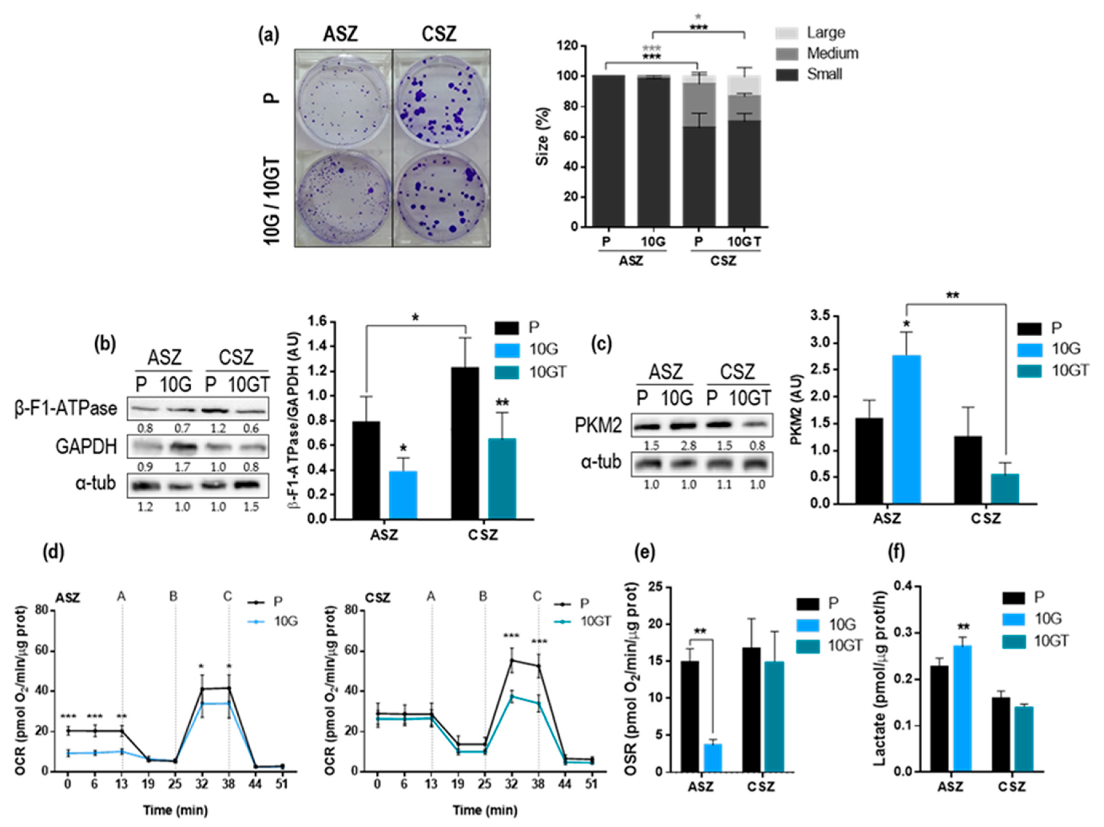 Cancers 12 00668 g002