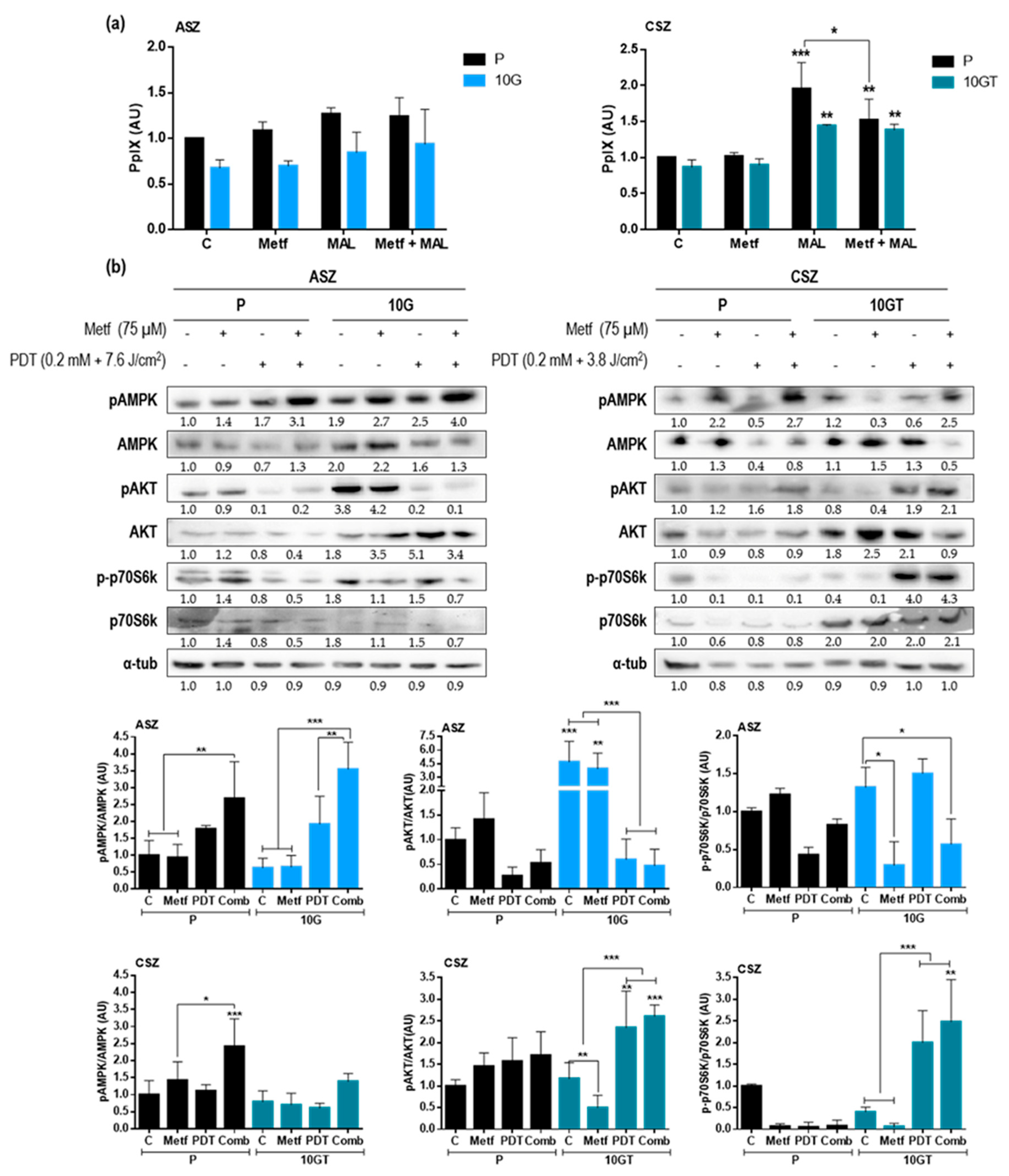 Cancers 12 00668 g005