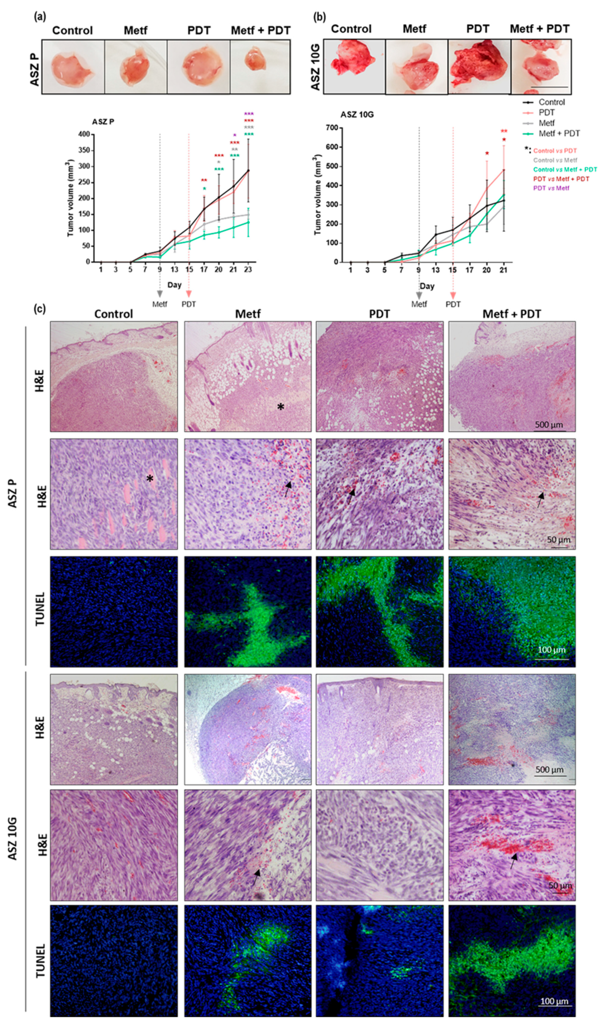 Cancers 12 00668 g006