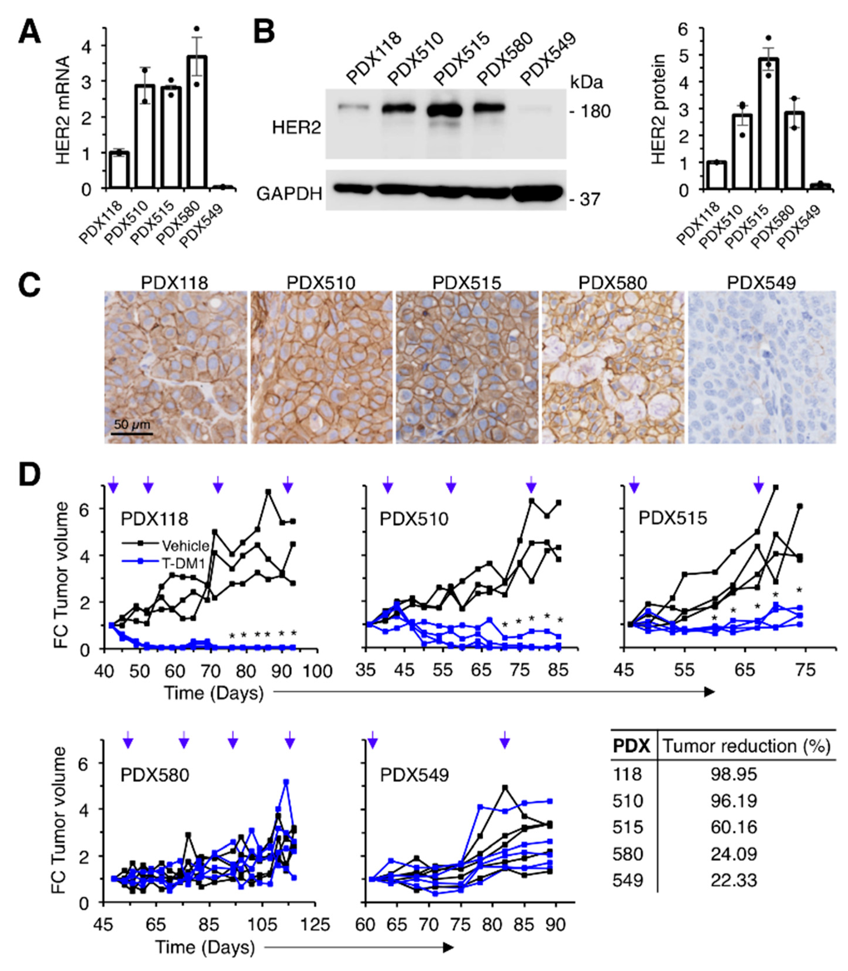 Cancers 12 00670 g001