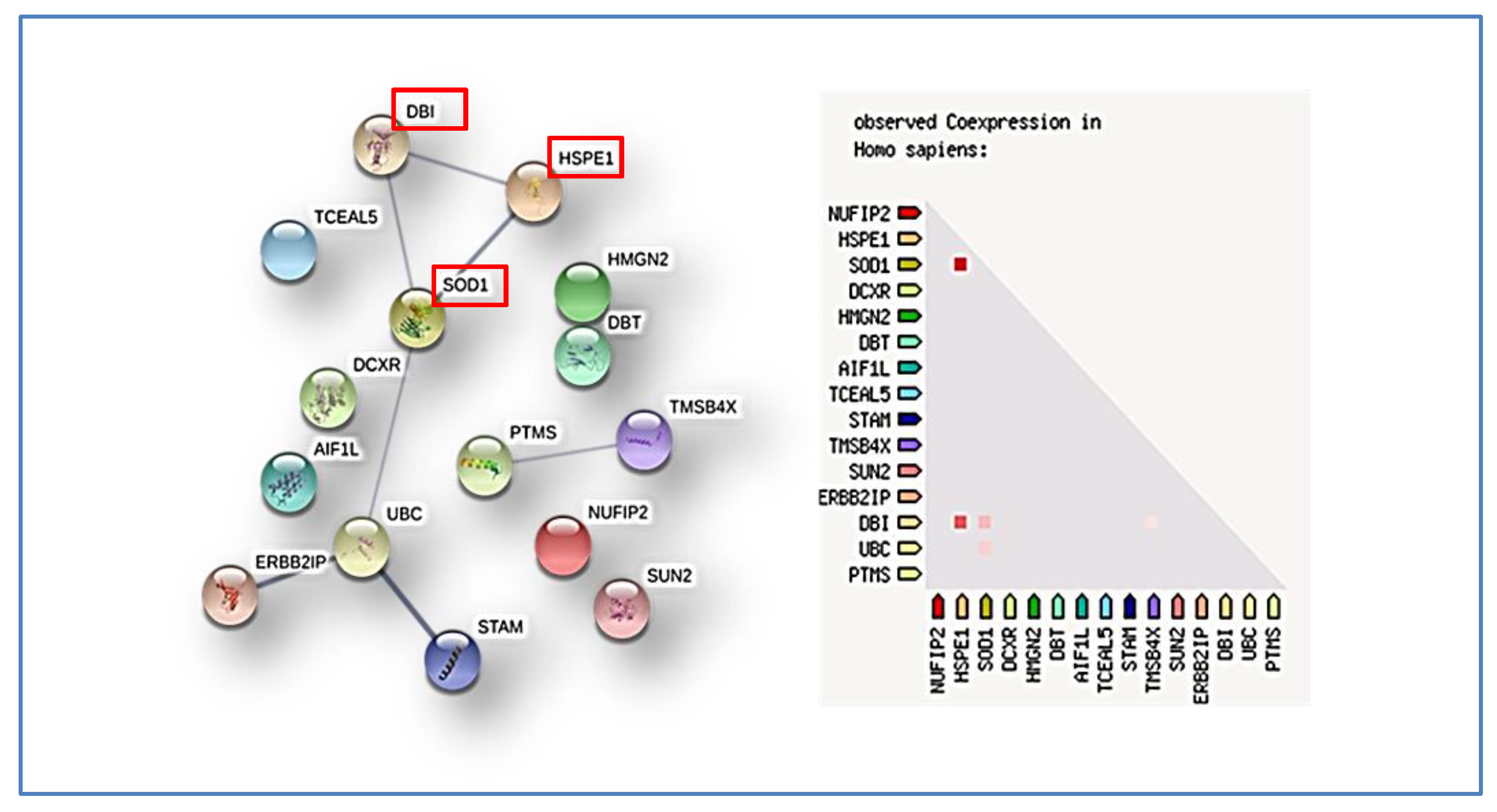 Cancers 12 00674 g011