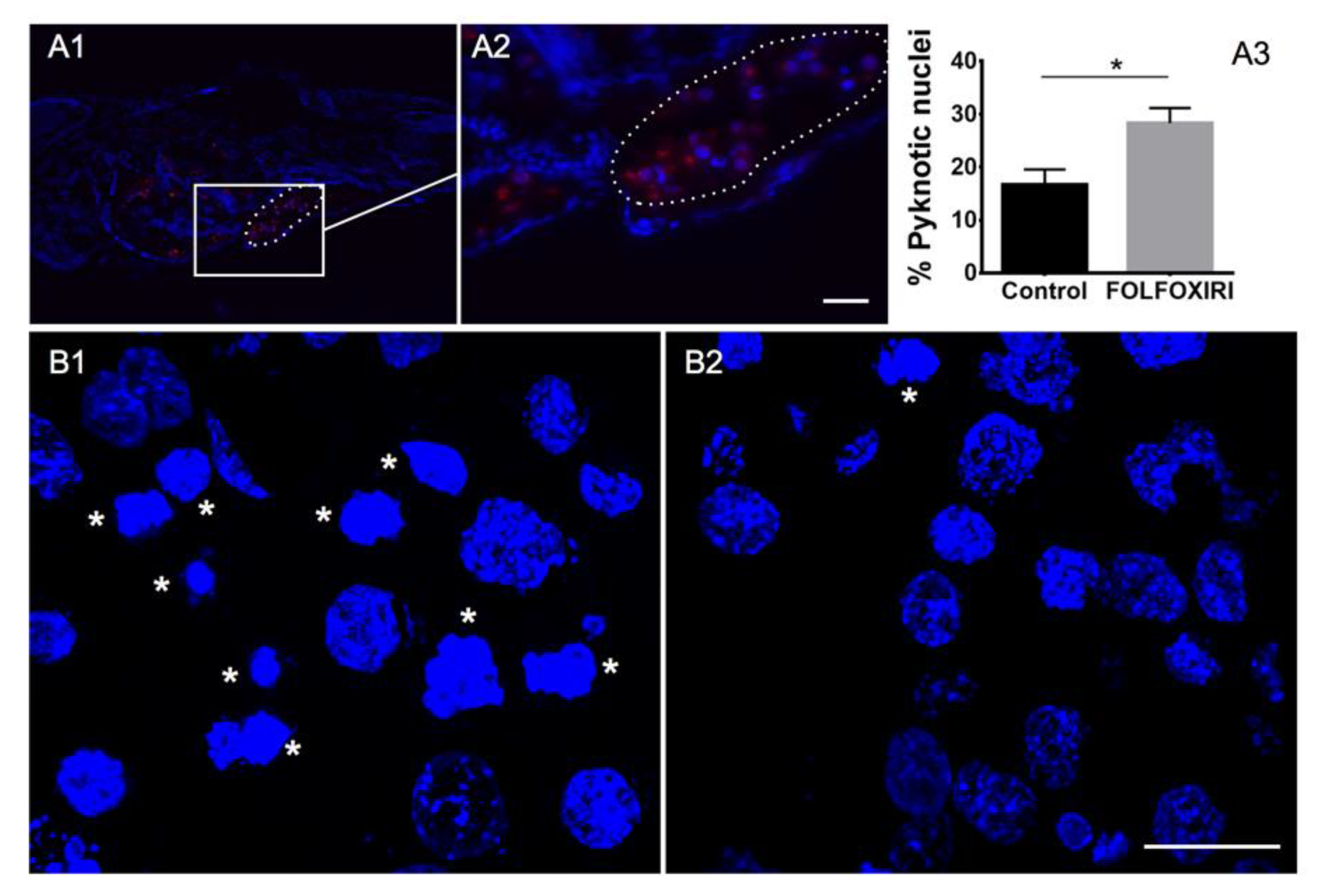 Cancers 12 00677 g004 Cancers 12 00677 g004