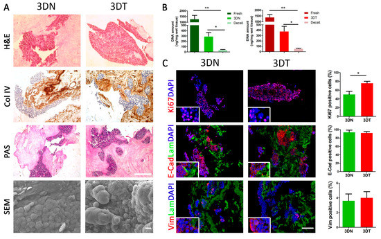 Cancers Free Full Text Recellularized Colorectal Cancer Patient Derived Scaffolds As In Vitro Pre Clinical 3d Model For Drug Screening Html