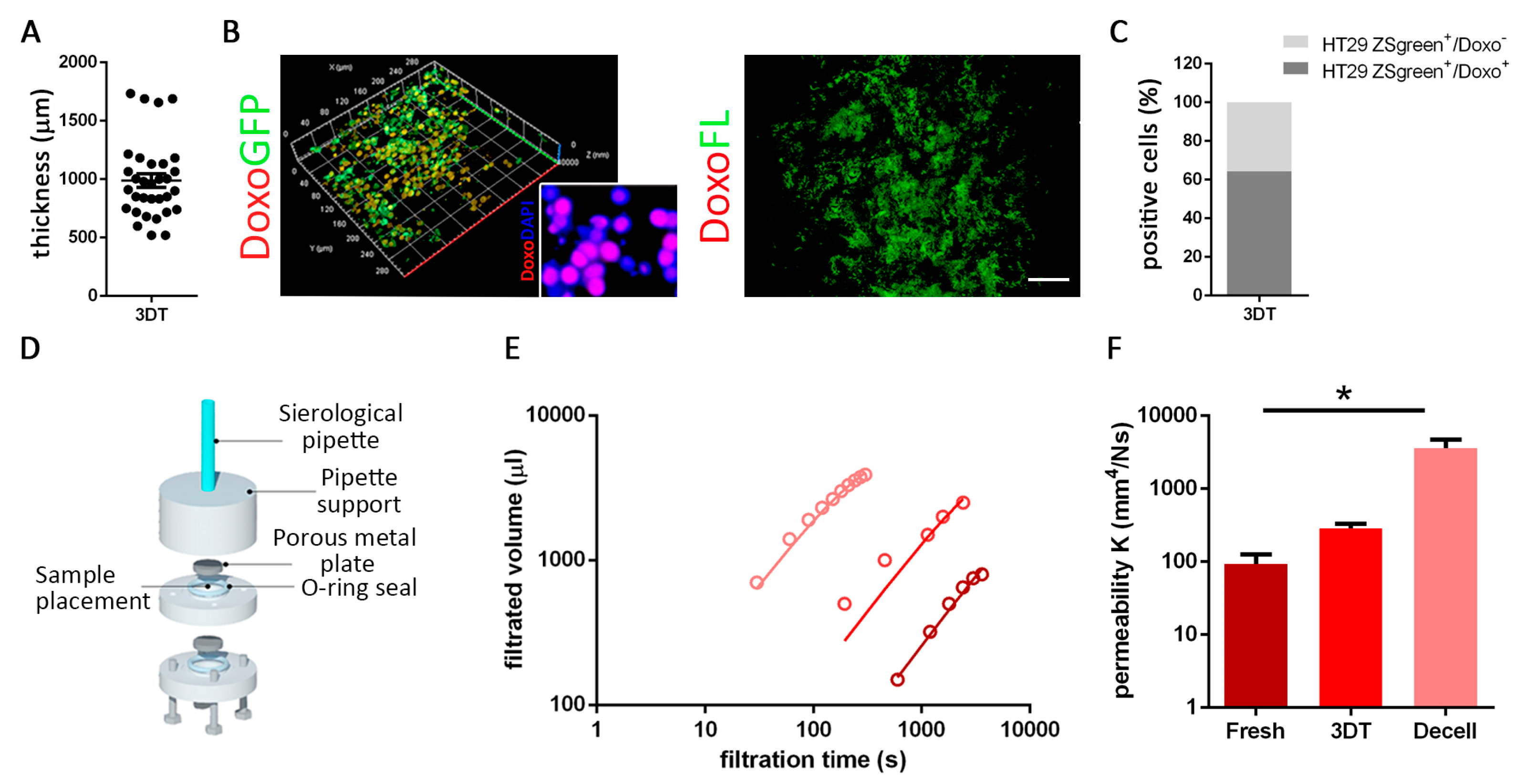 Cancers Free Full Text Recellularized Colorectal Cancer Patient Derived Scaffolds As In Vitro Pre Clinical 3d Model For Drug Screening Html