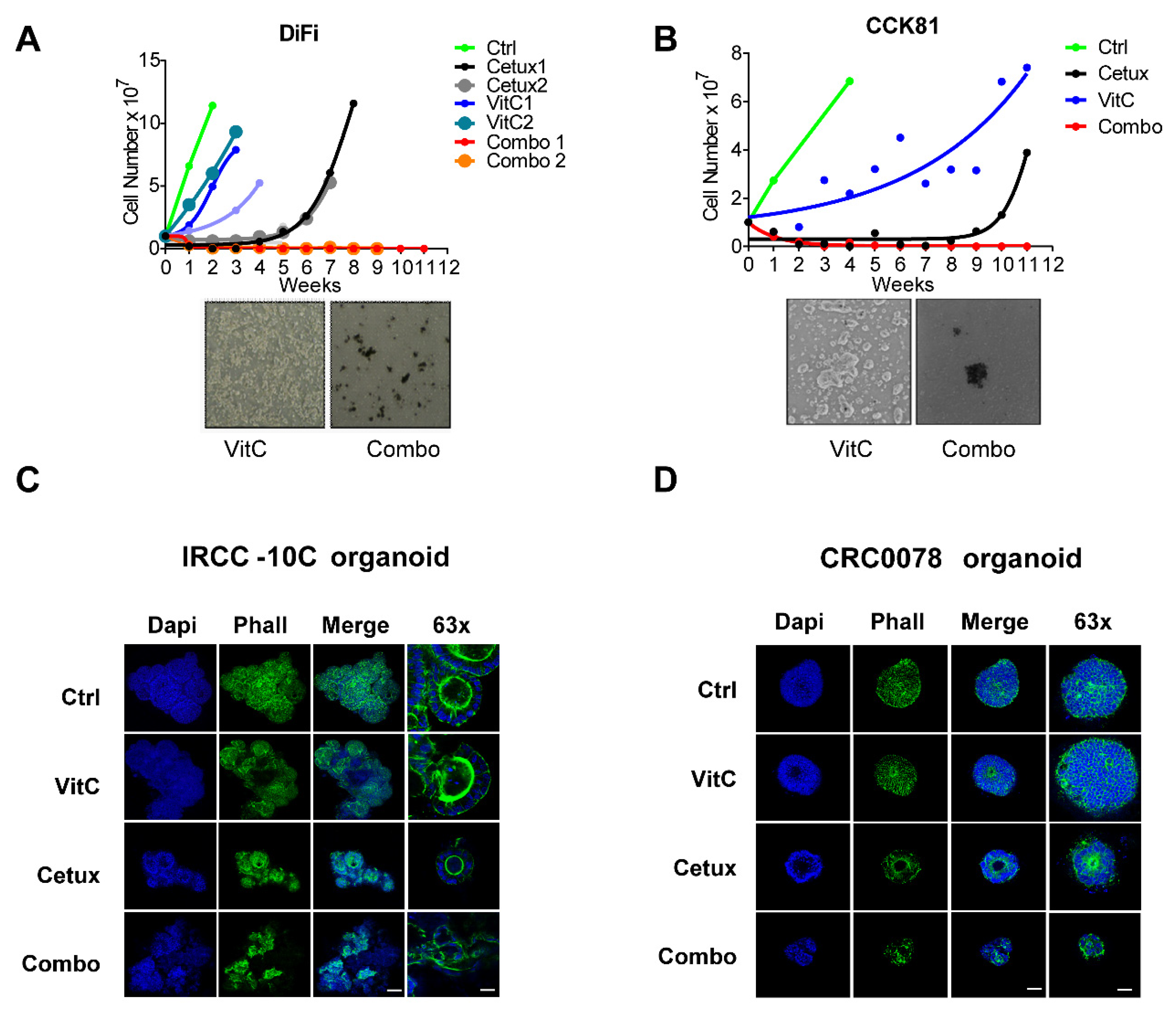 Cancers 12 00685 g002 Cancers 12 00685 g002