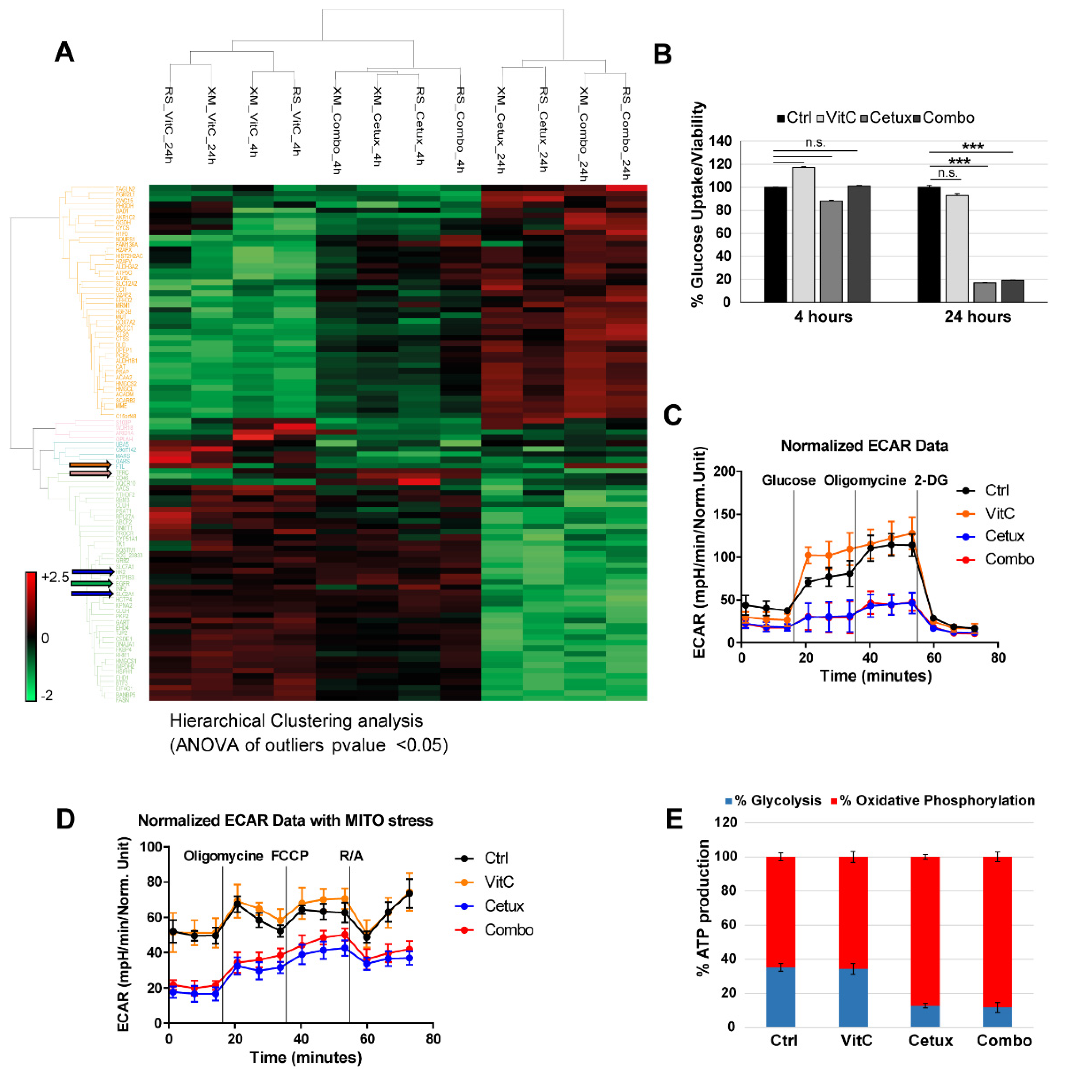 Cancers 12 00685 g004 Cancers 12 00685 g004