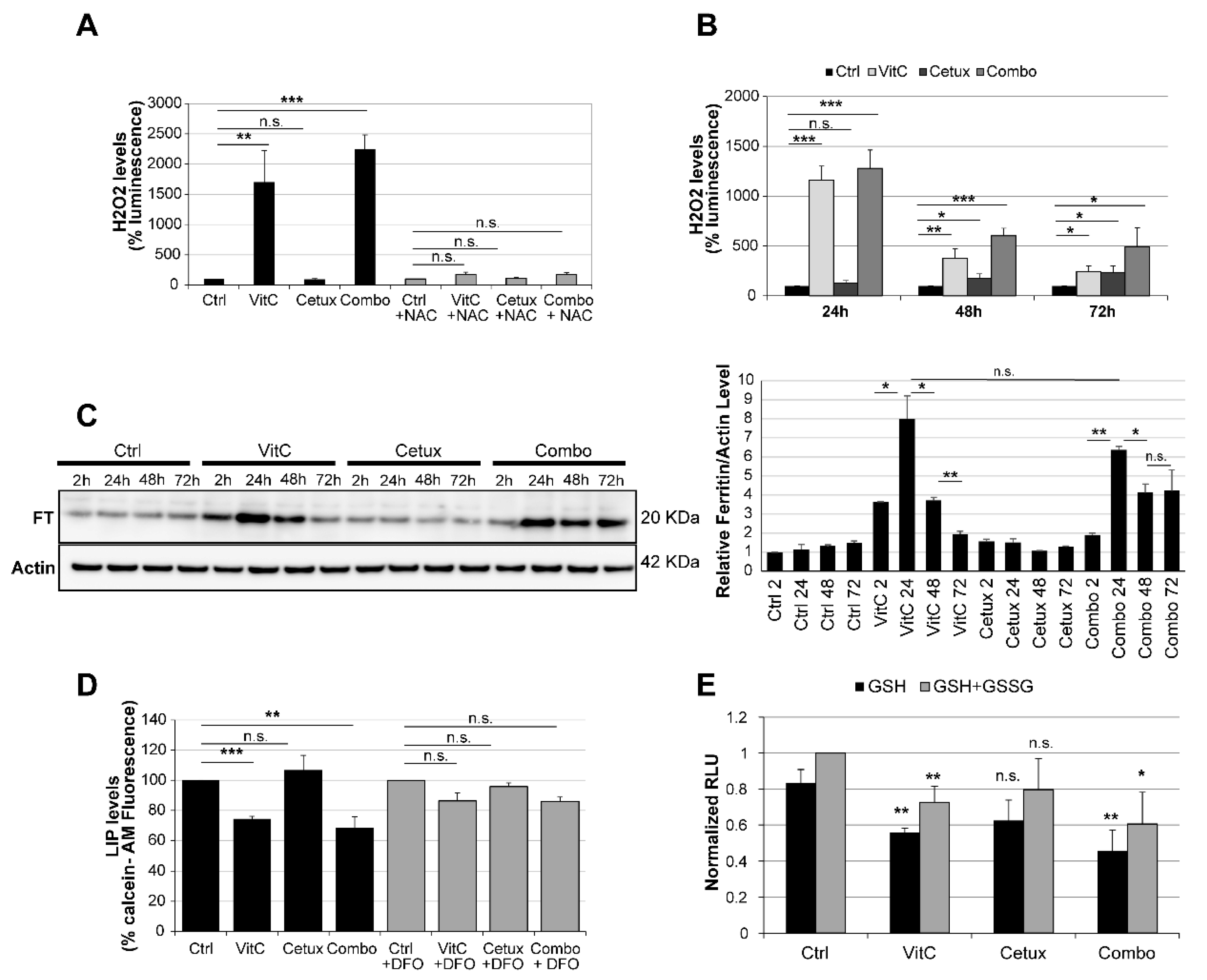 Cancers 12 00685 g005 Cancers 12 00685 g005