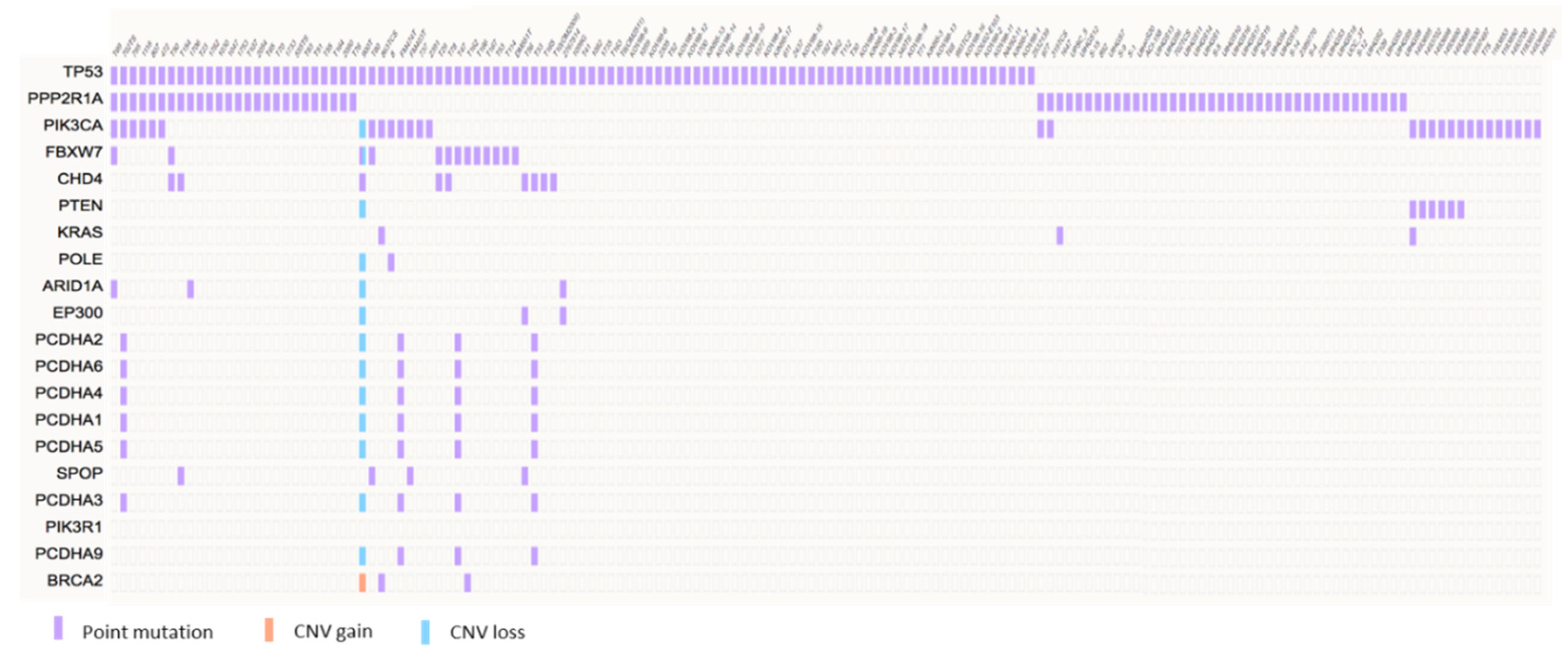 Cancers 12 00686 g003 Cancers 12 00686 g003