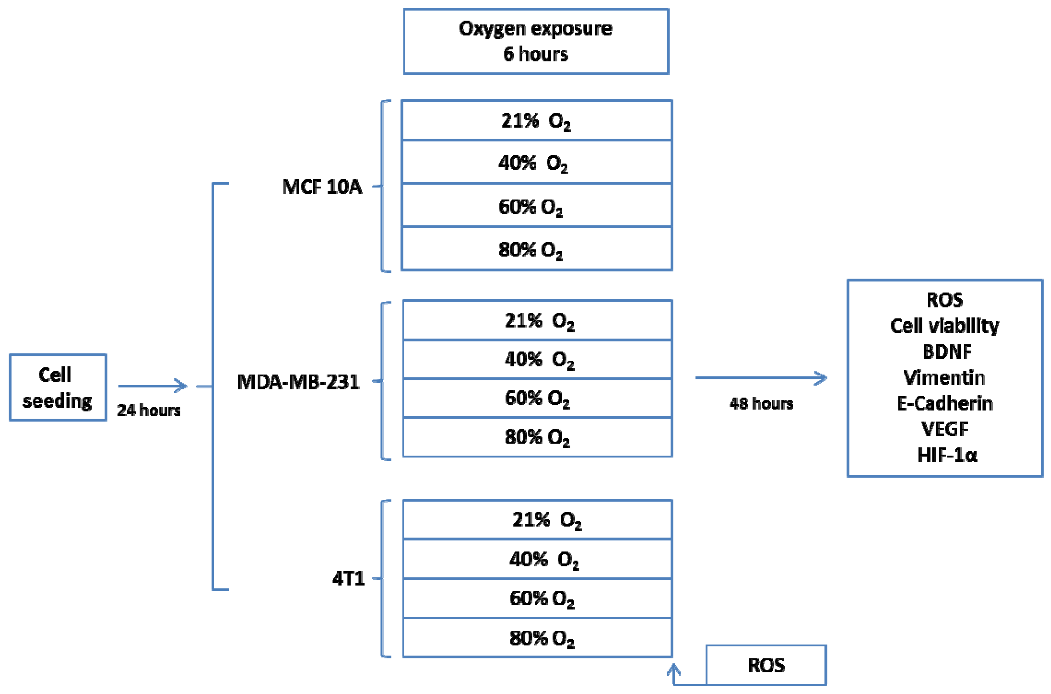 Cancers 12 00688 g001 Cancers 12 00688 g001