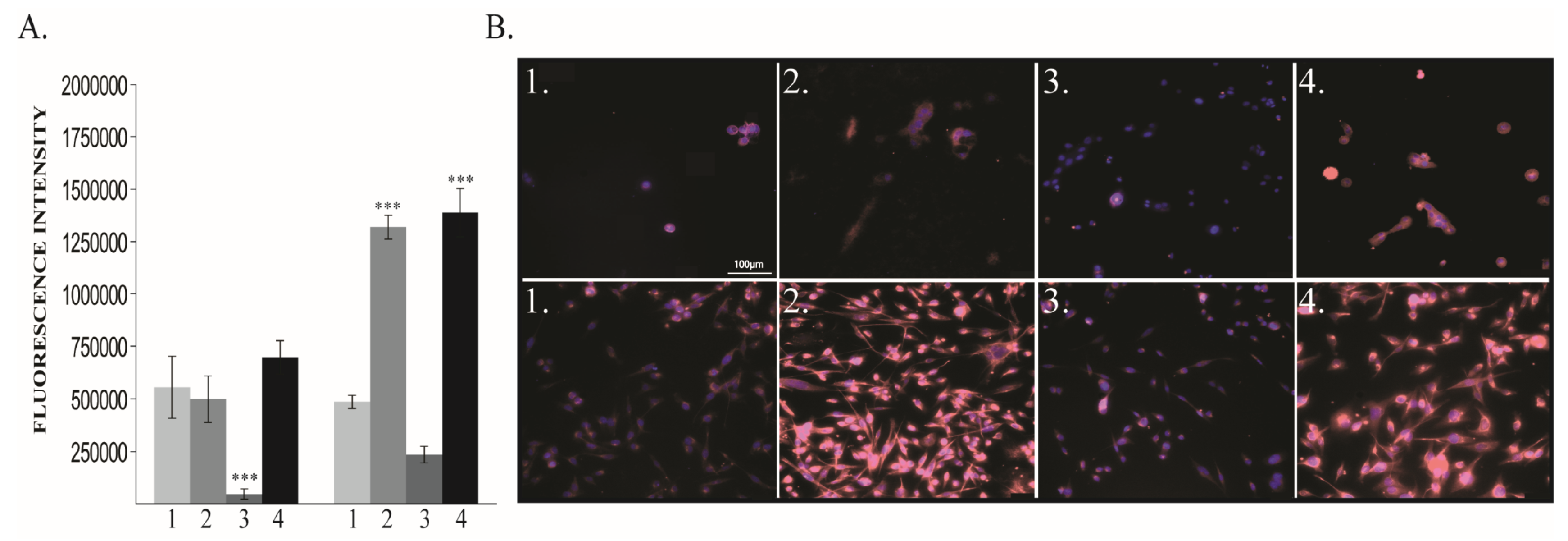 Cancers 12 00688 g004 Cancers 12 00688 g004