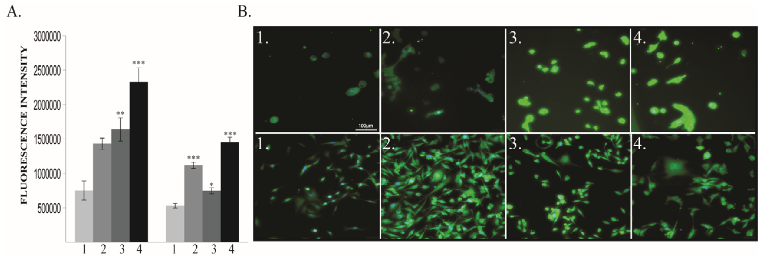 Cancers 12 00688 g006 Cancers 12 00688 g006