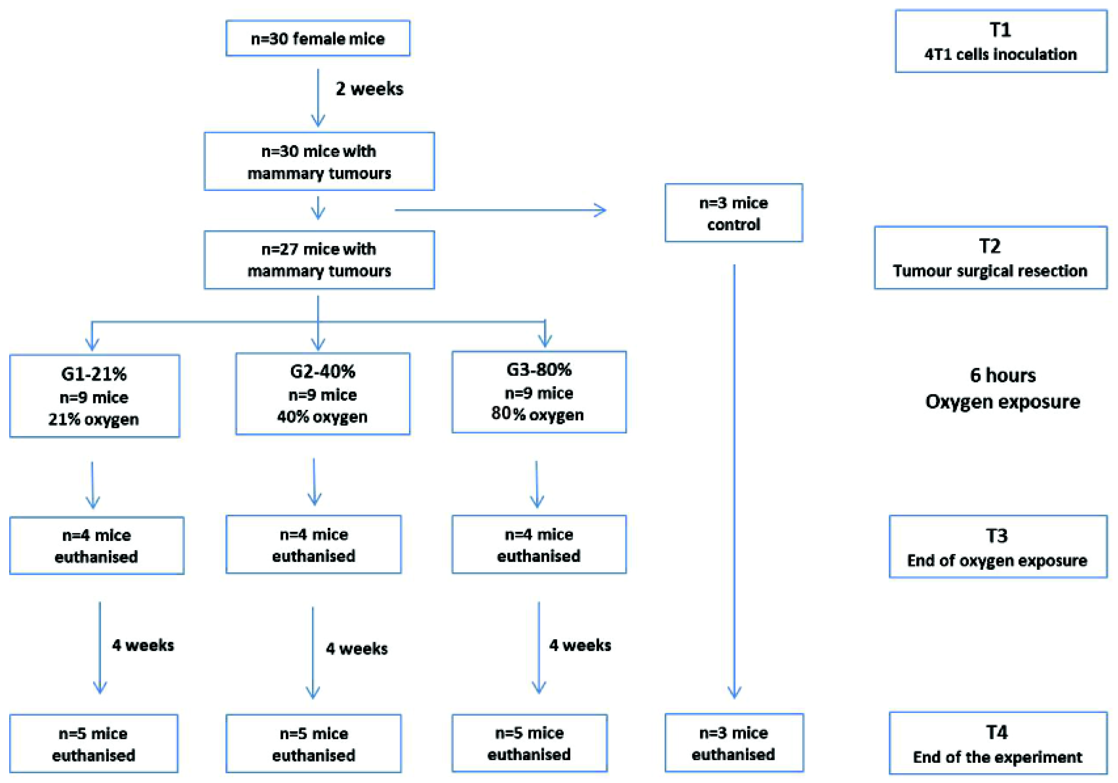 Cancers 12 00688 g008 Cancers 12 00688 g008