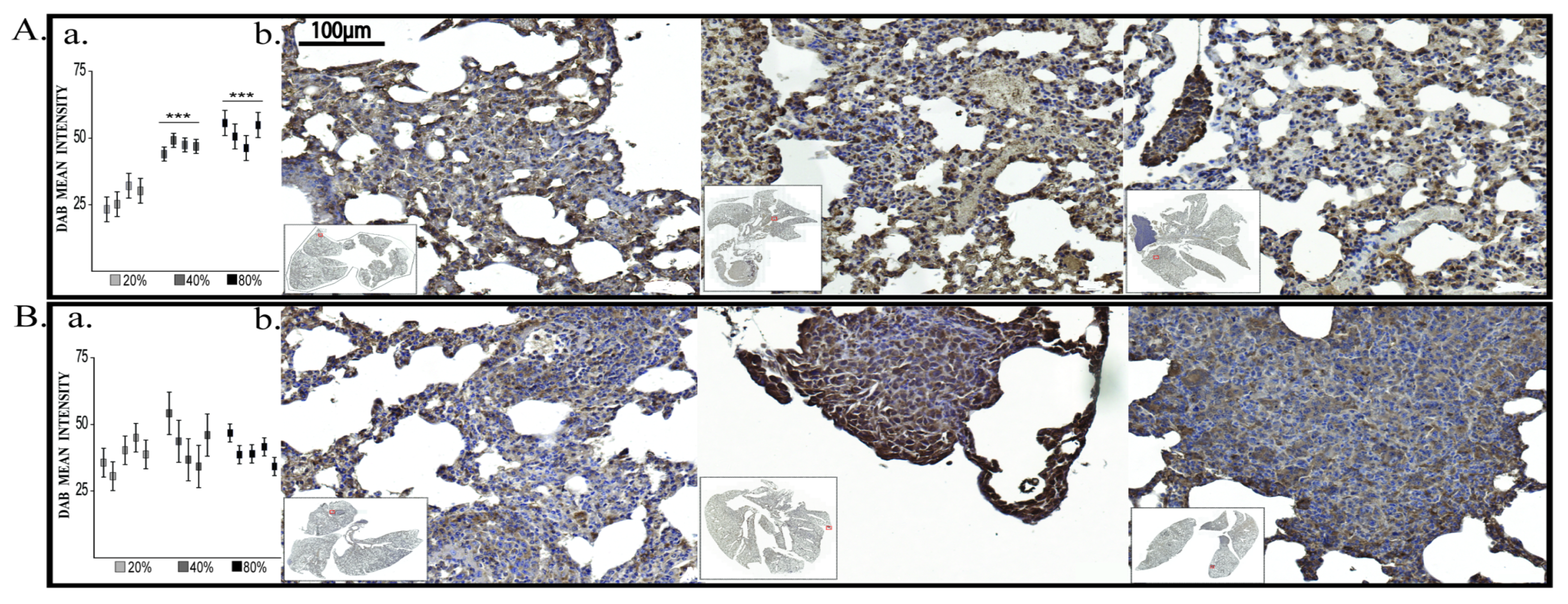 Cancers 12 00688 g010 Cancers 12 00688 g010